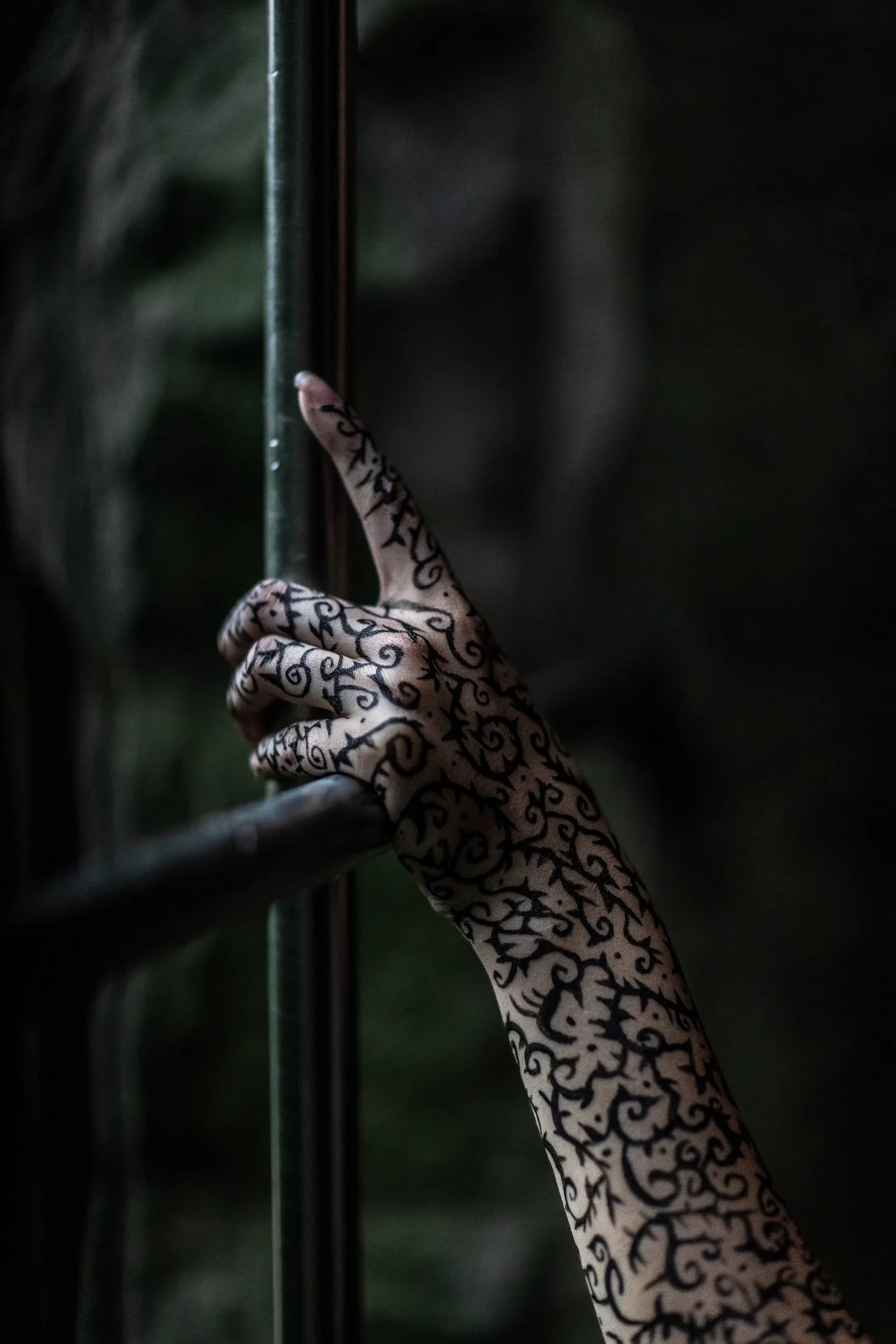 1K0A7858.jpg