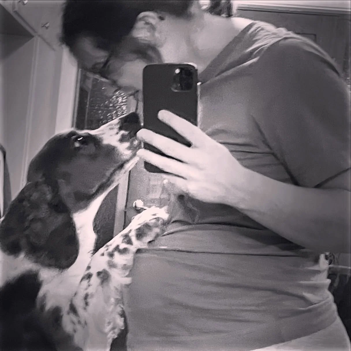 Men hva i alle dager har jeg holdt p&aring; med egentlig? S&aring; f&aring; innlegg og oppdateringer!

Har v&aelig;rt opptatt med &aring; gro baby i stedet for blomster!

S&aring; n&aring; settes Kvast p&aring; pause for &aring; dyrke det nye livet. 