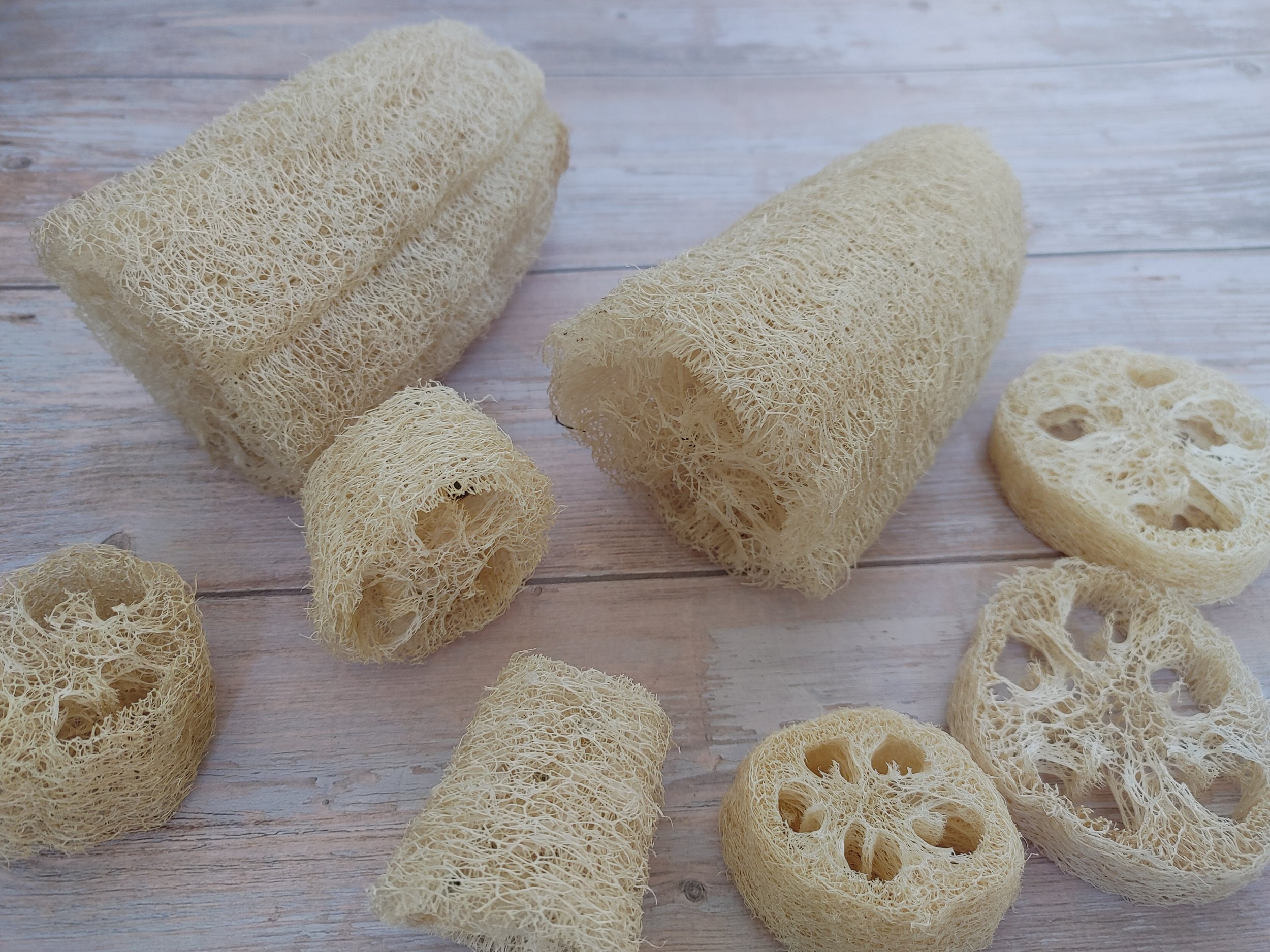 Natural Loofah