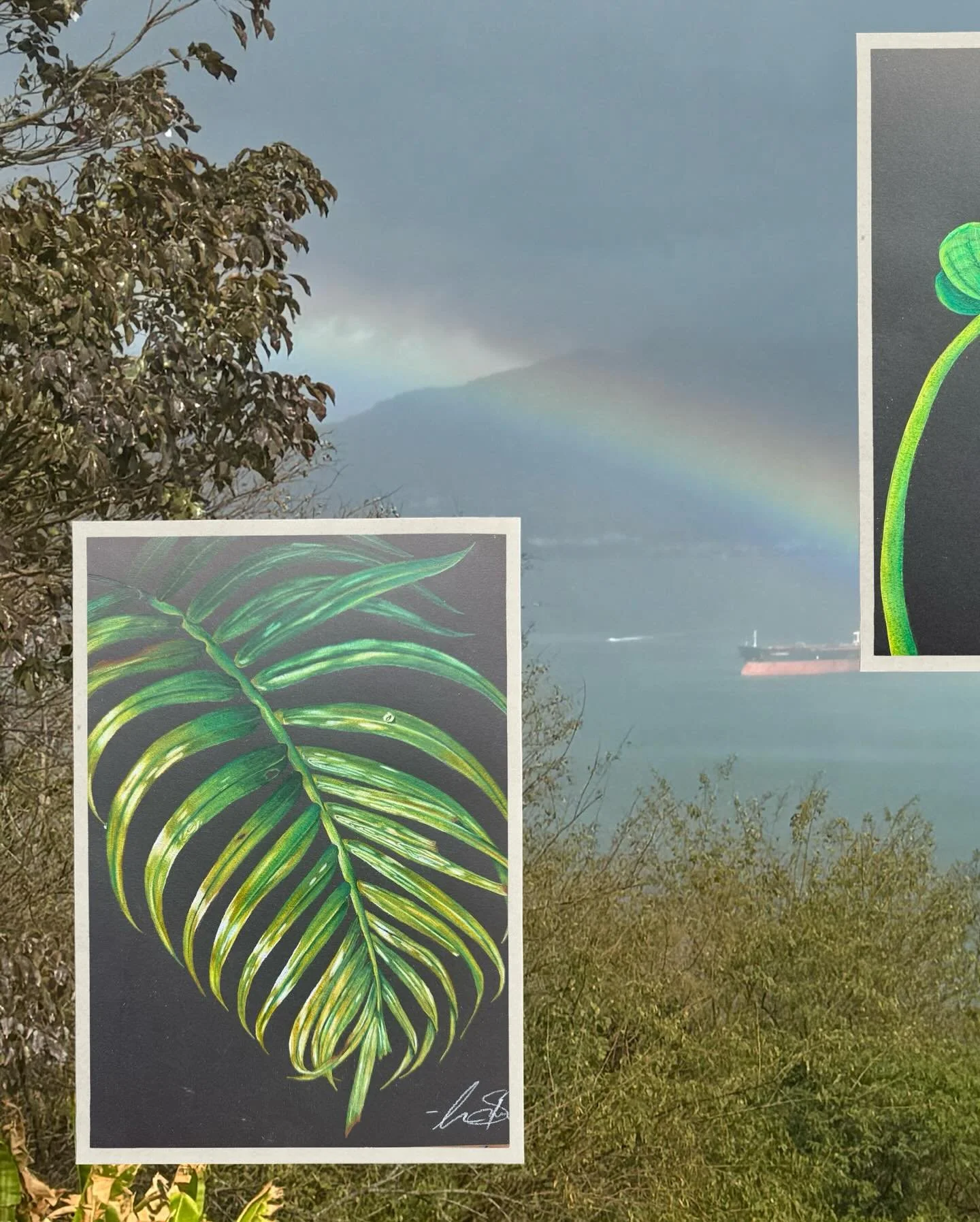 I promise I did a little art during my residency! I focused a bit more on exploring the island and experiencing new things. I did a couple of plant studies and a few digital collages. I&rsquo;m excited to take my experiences from the residency and se
