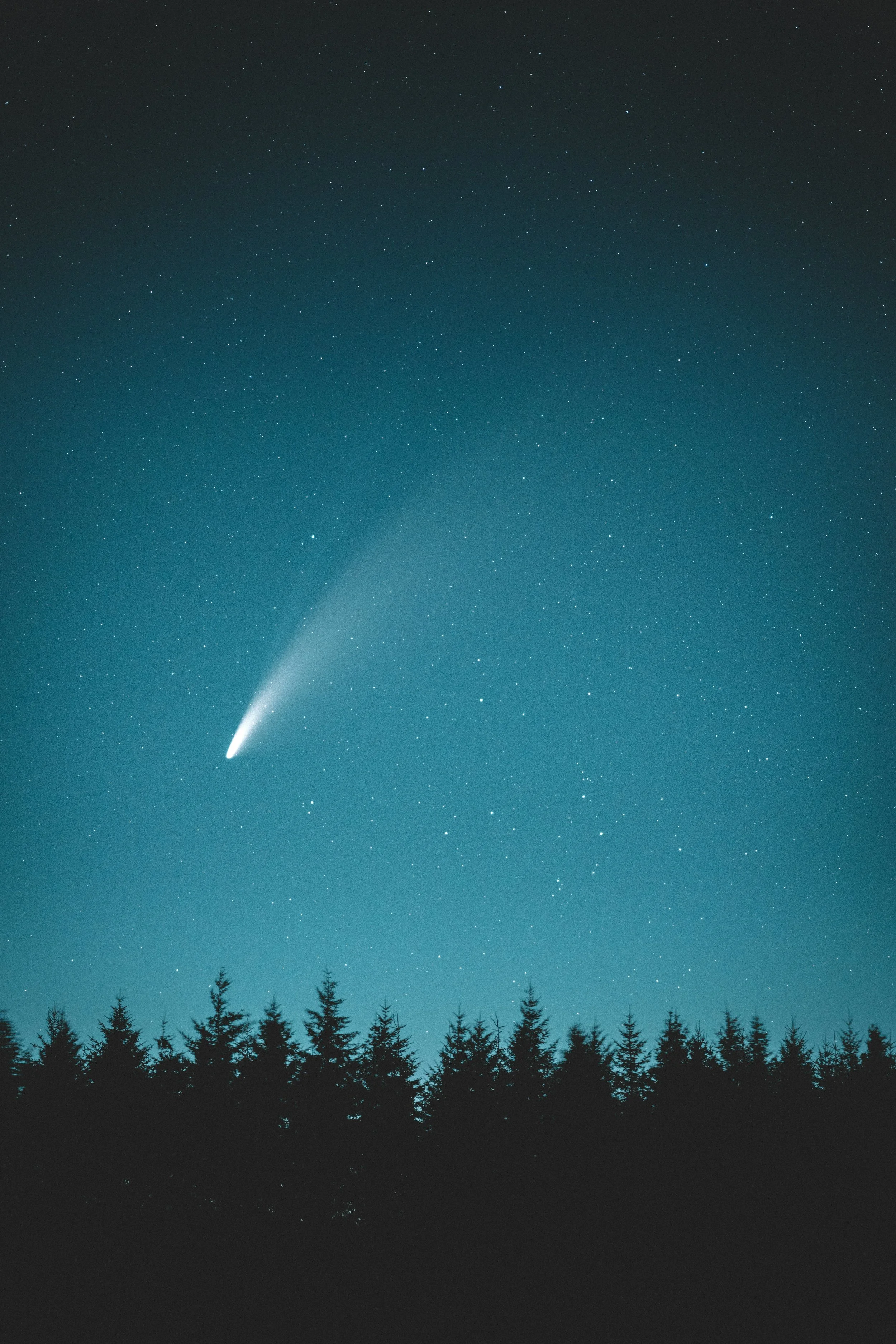 #448 How Wonder Shows Up When You Slow Down