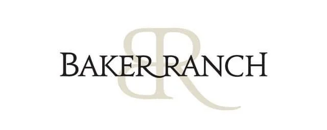 BR logo (1).jpg