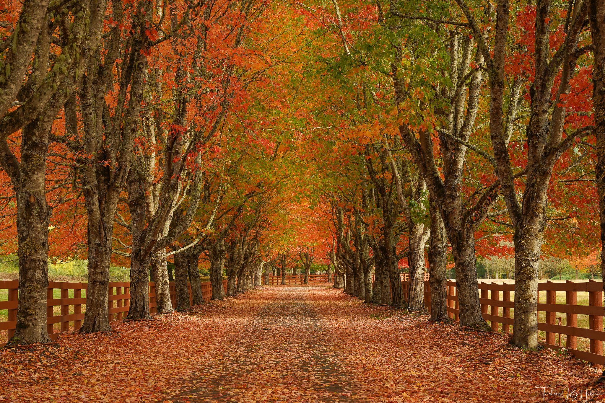 Autumn Gateway.jpg