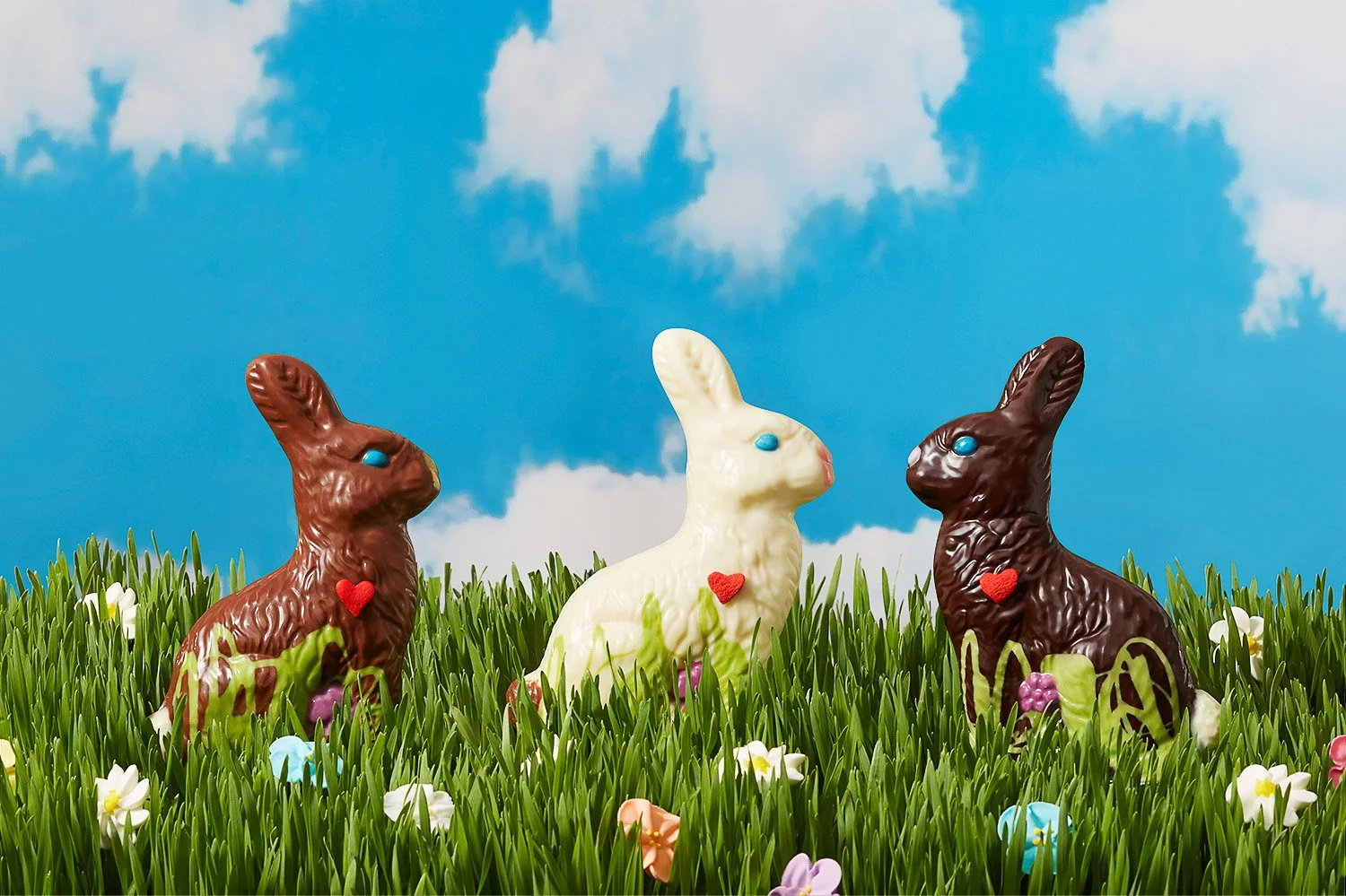 20220411-EasterTest-15962V2.jpg