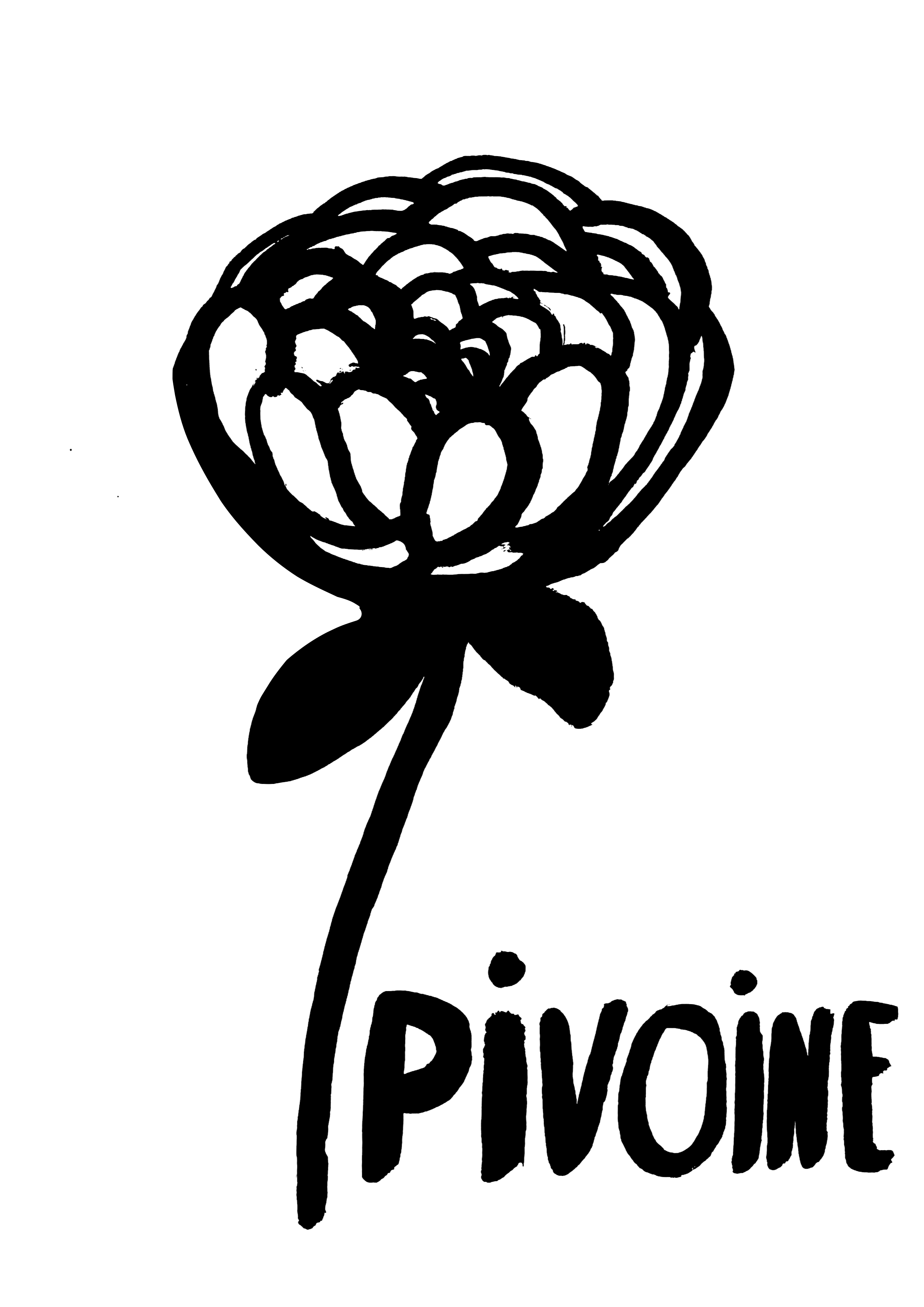 pivoine