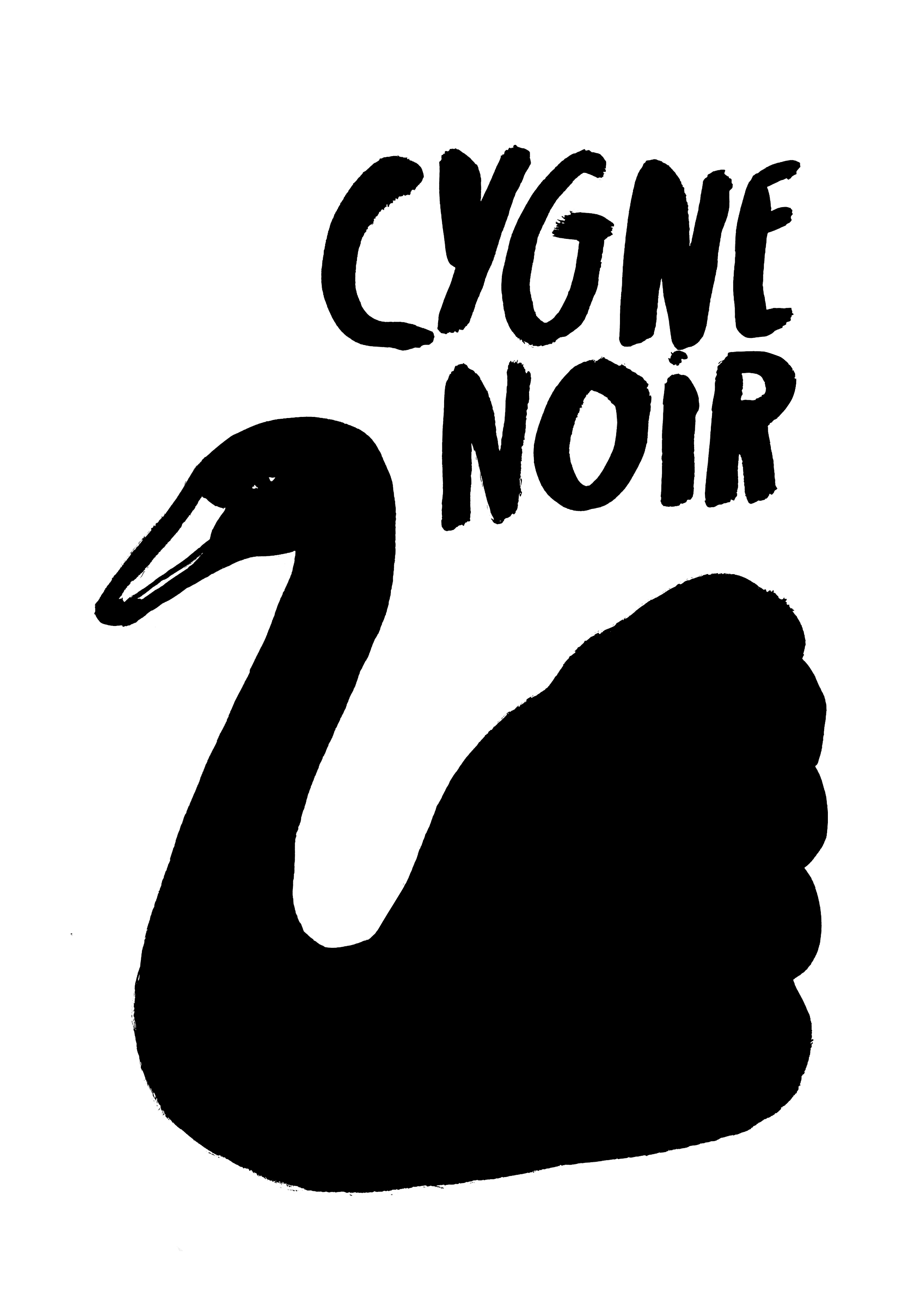 cygne noir