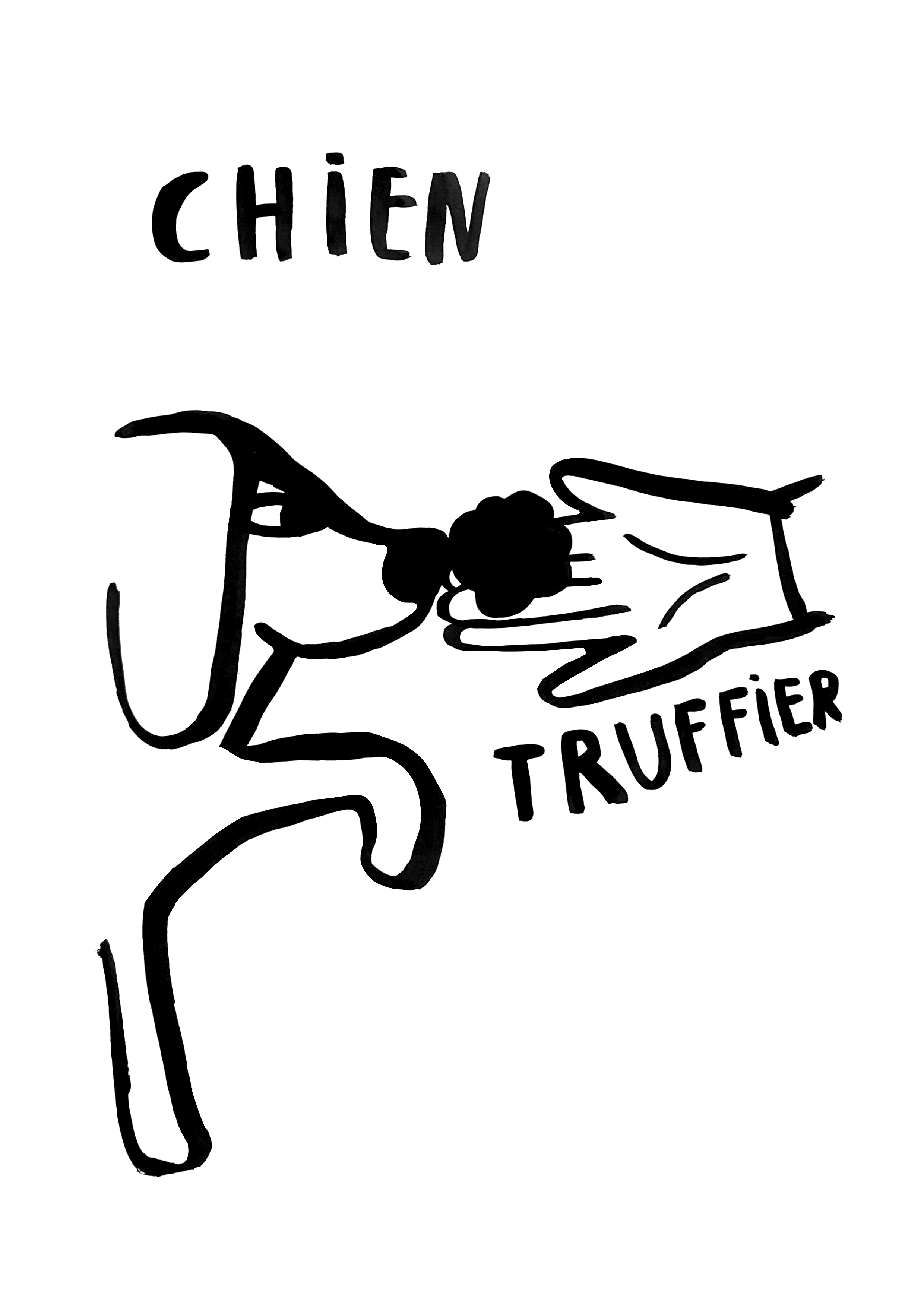 chientruffier3.png