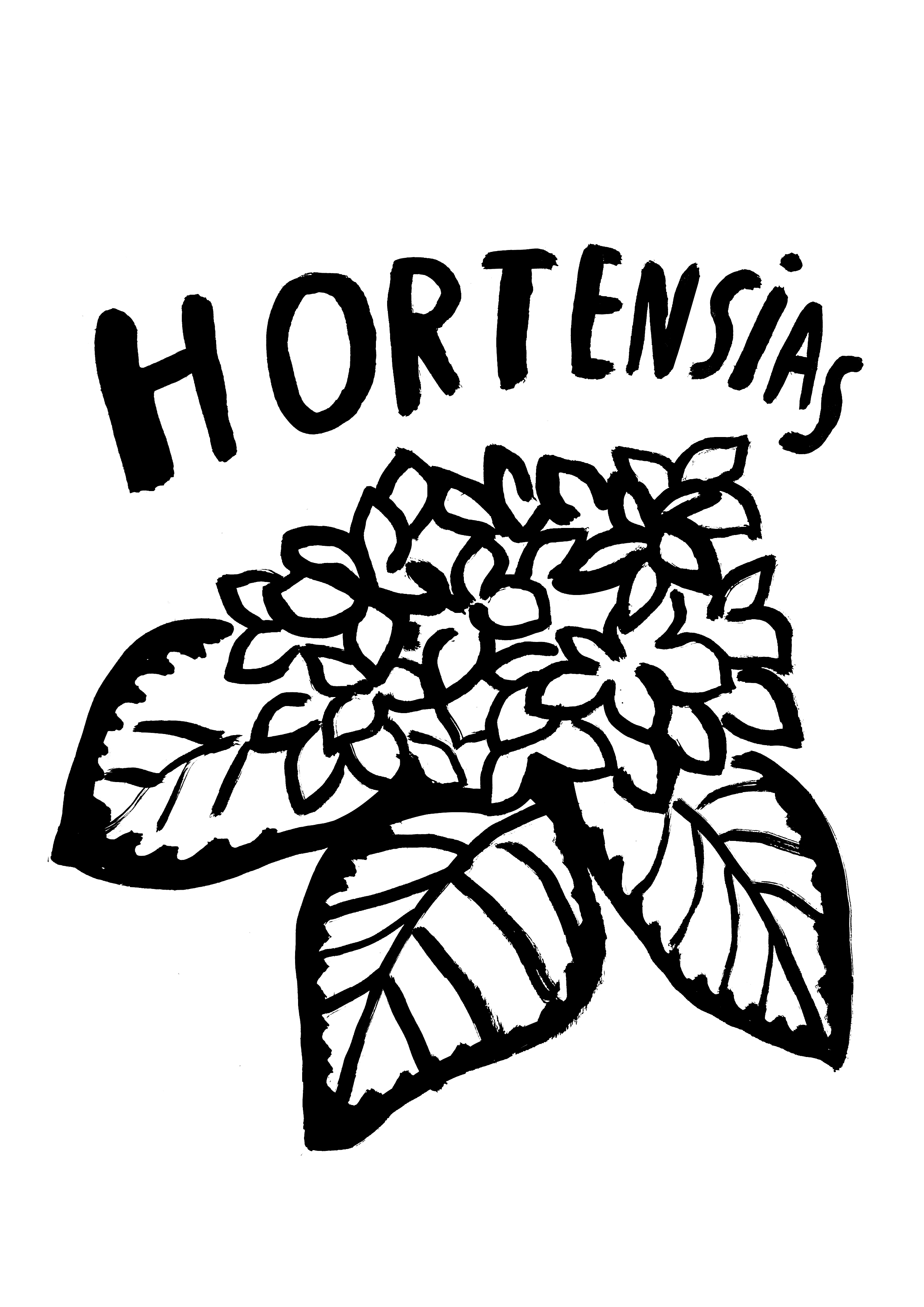 hortensias.png