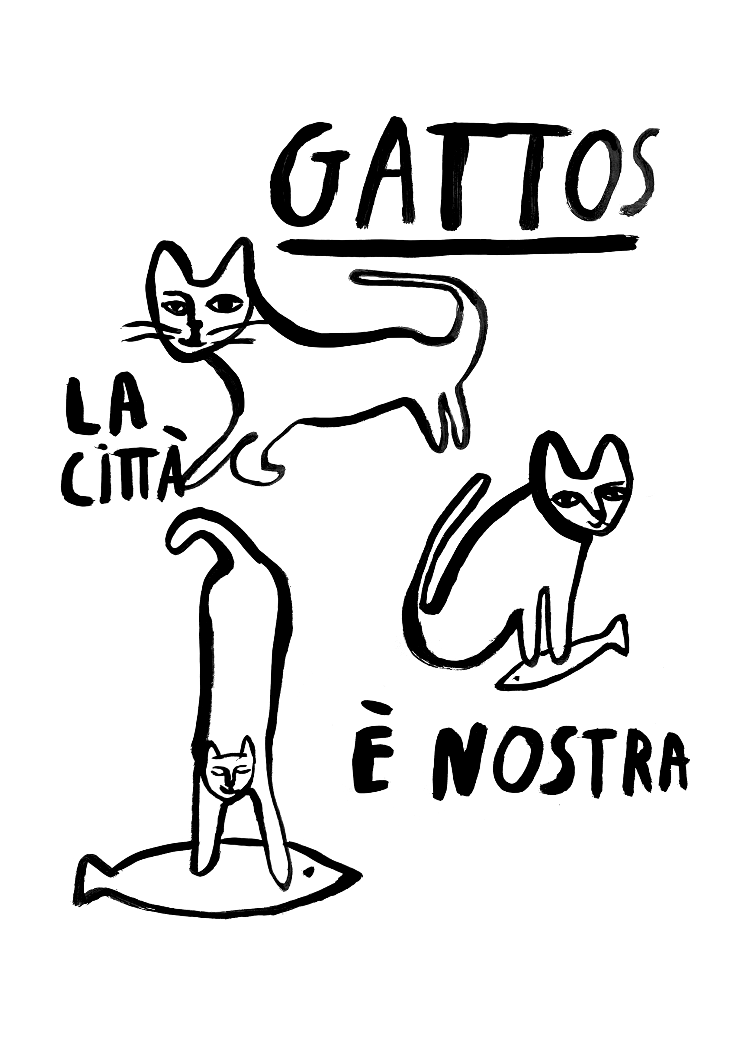 GATTOS.png