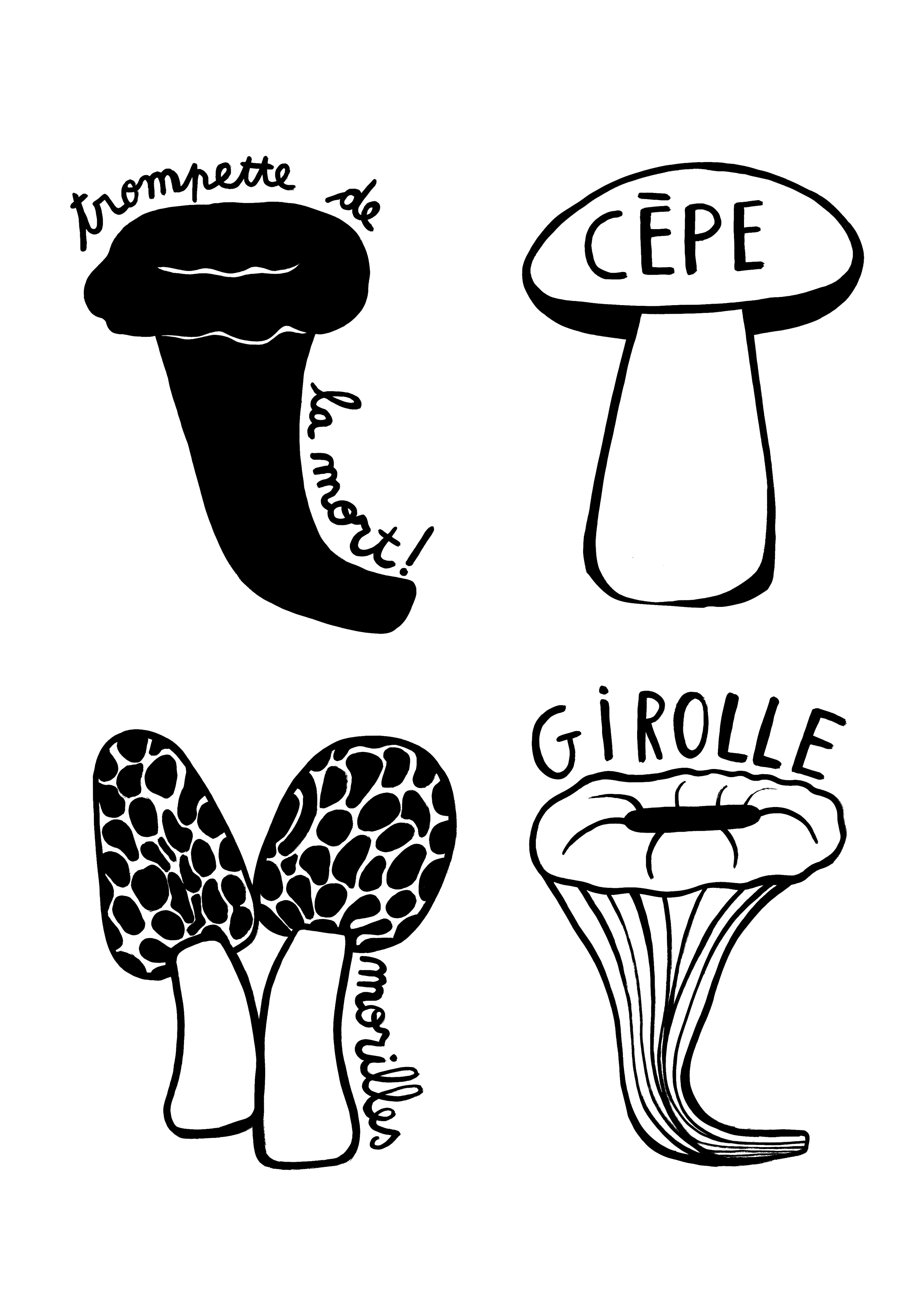 champignons.png (copie)
