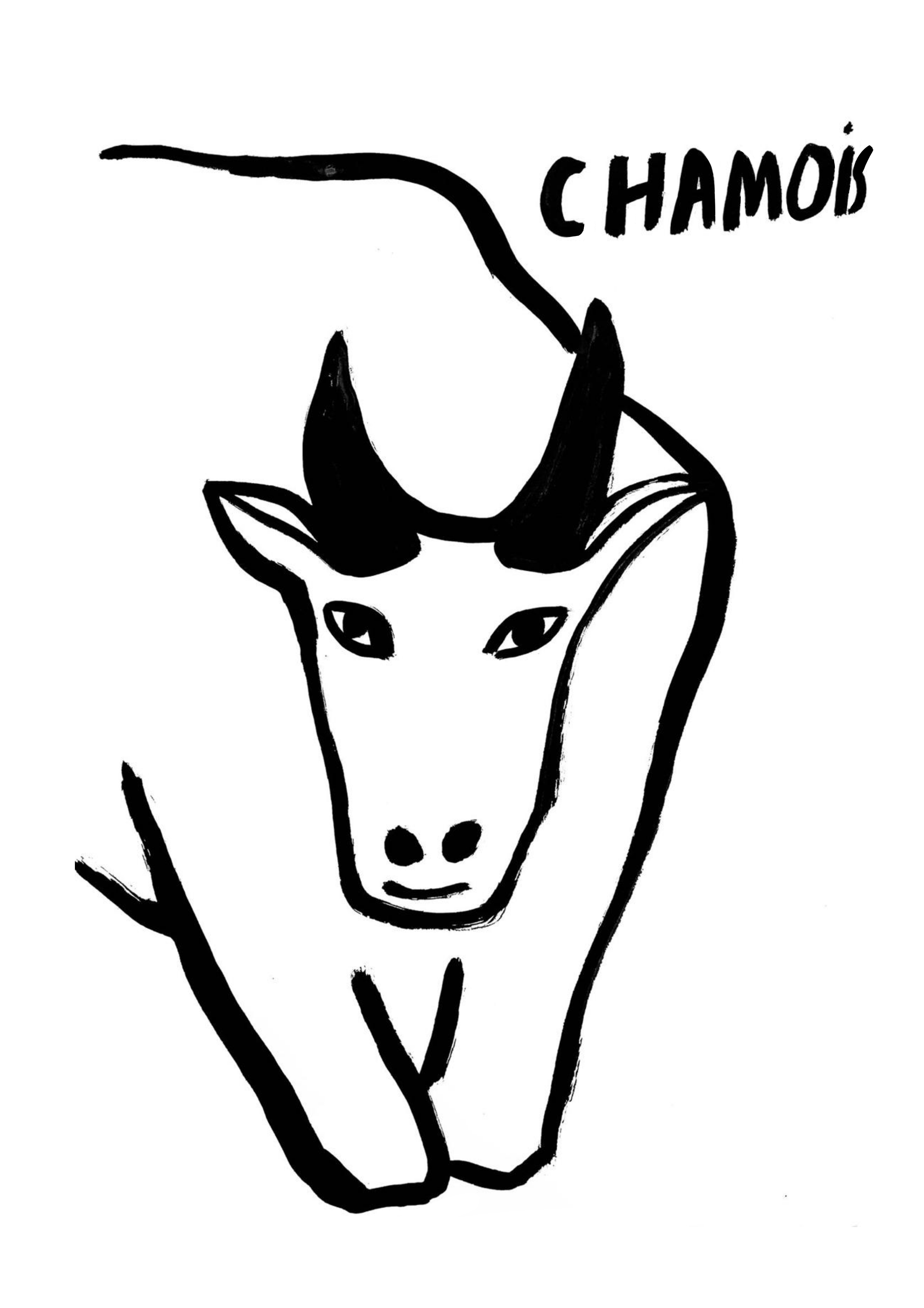 le chamois