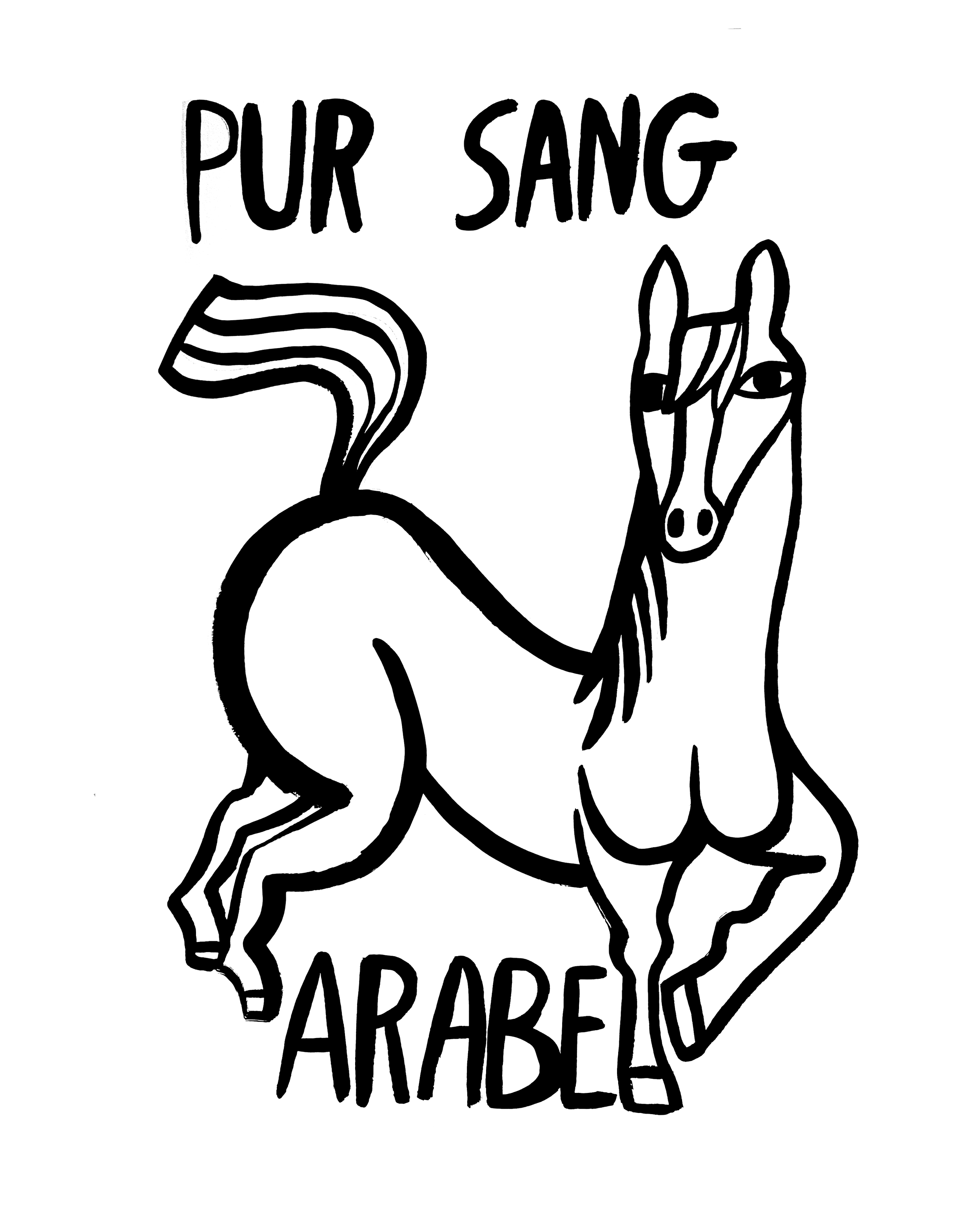 Le pur sang arabe - Oeuvre originale à l'encre de Chine - A3