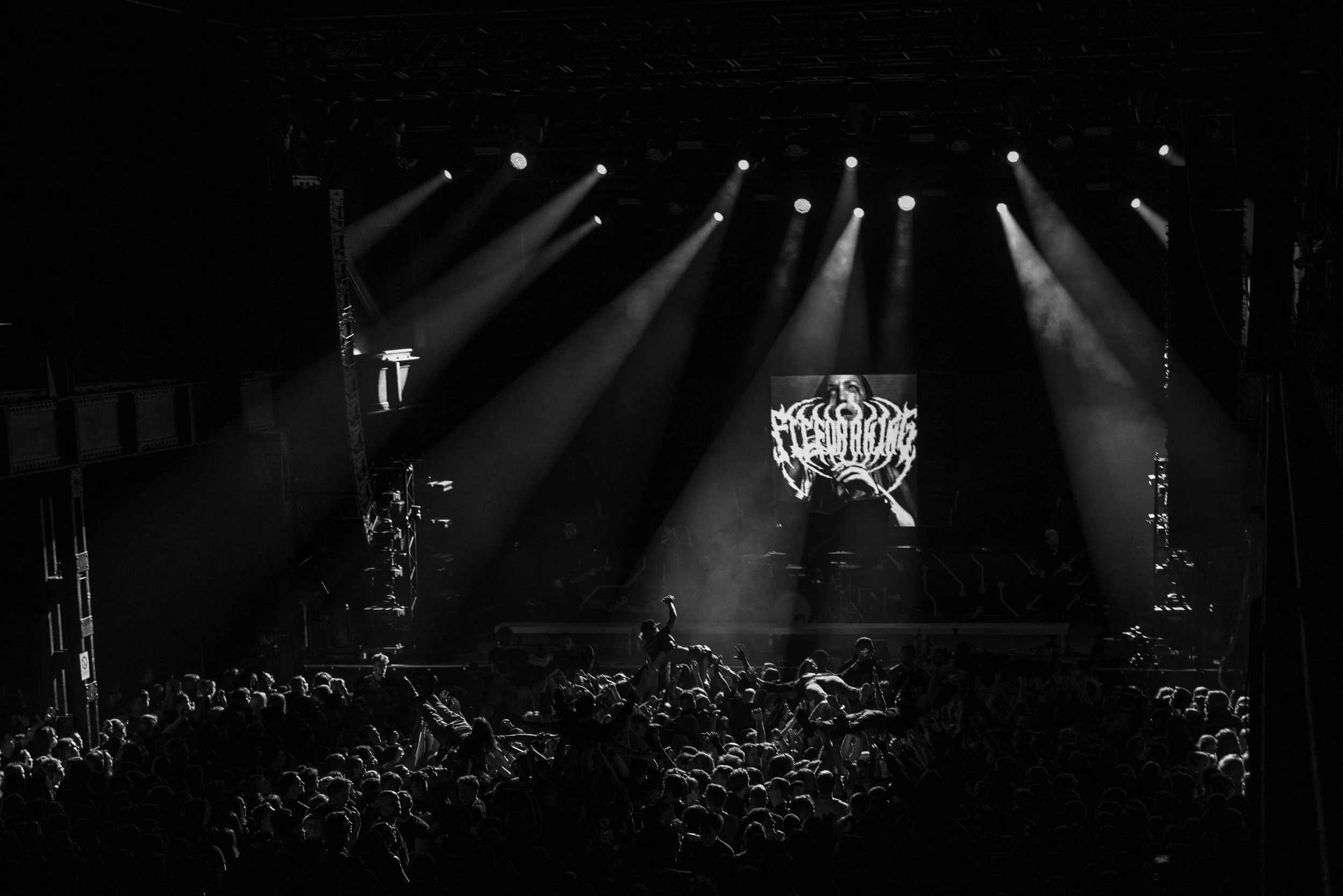 Fit_for_a_king_Cologne_2025-10.jpg