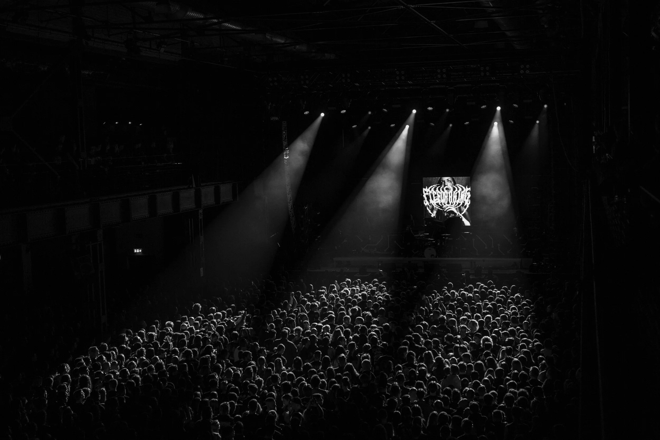 Fit_for_a_king_Cologne_2025-8.jpg