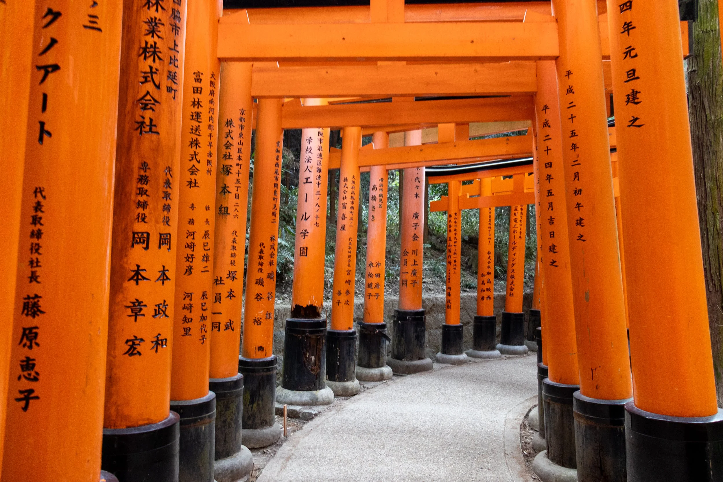 Torii gates at Fushimi Inari-taisha in Kyoto Japan