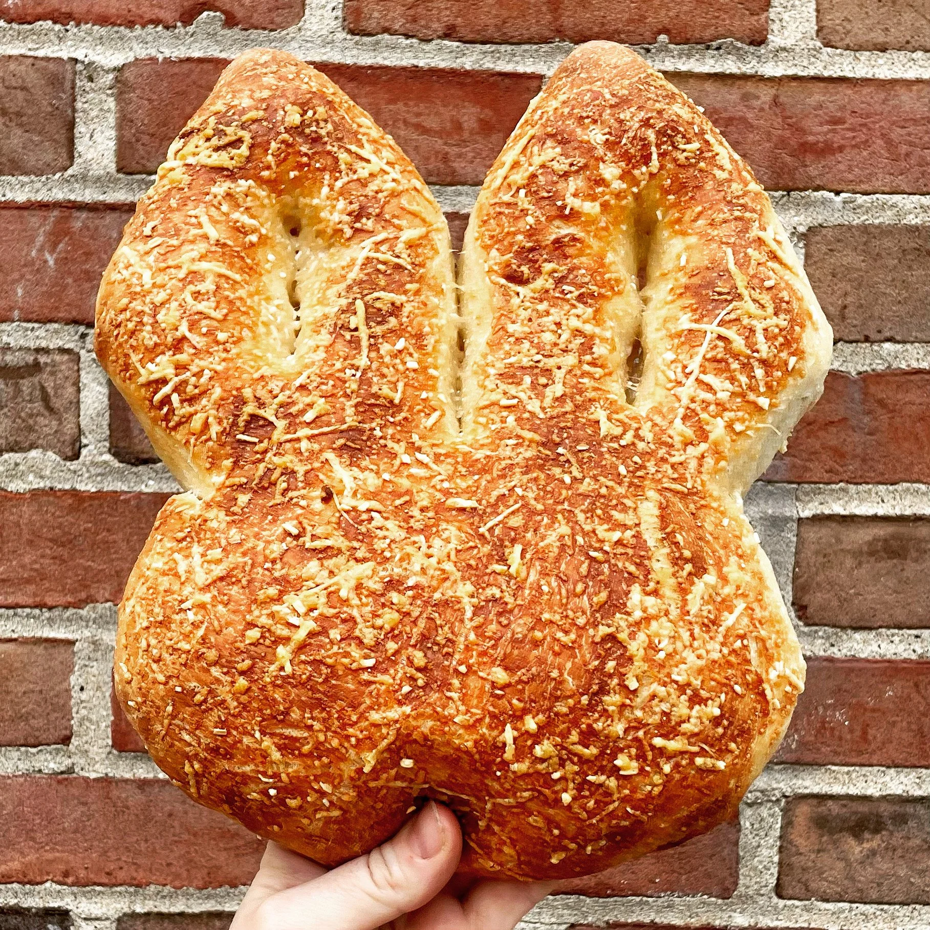 Bunny Fougasse