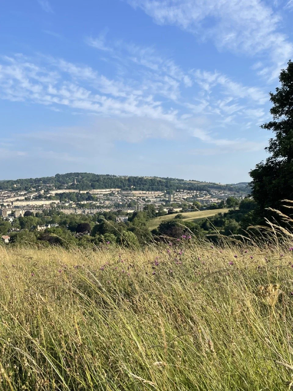 IMG_1526 2 Large.jpeg