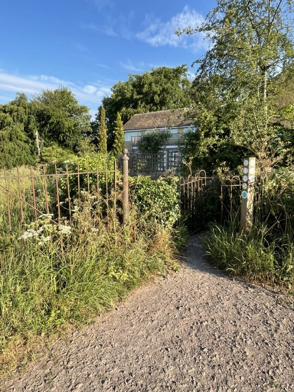 IMG_1523 2 Large.jpeg