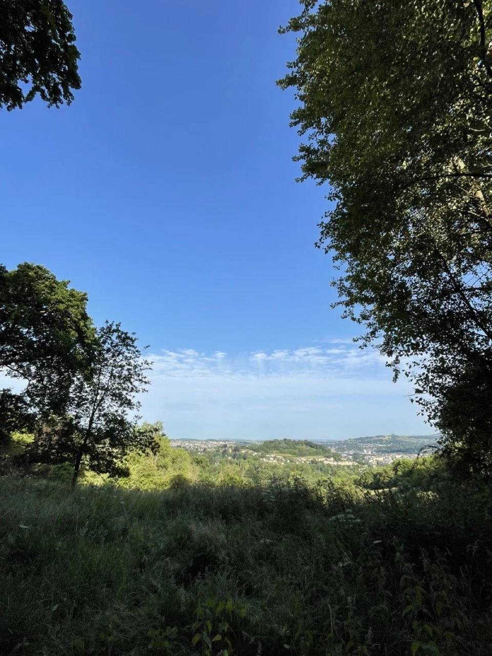 IMG_1543 2 Large.jpeg