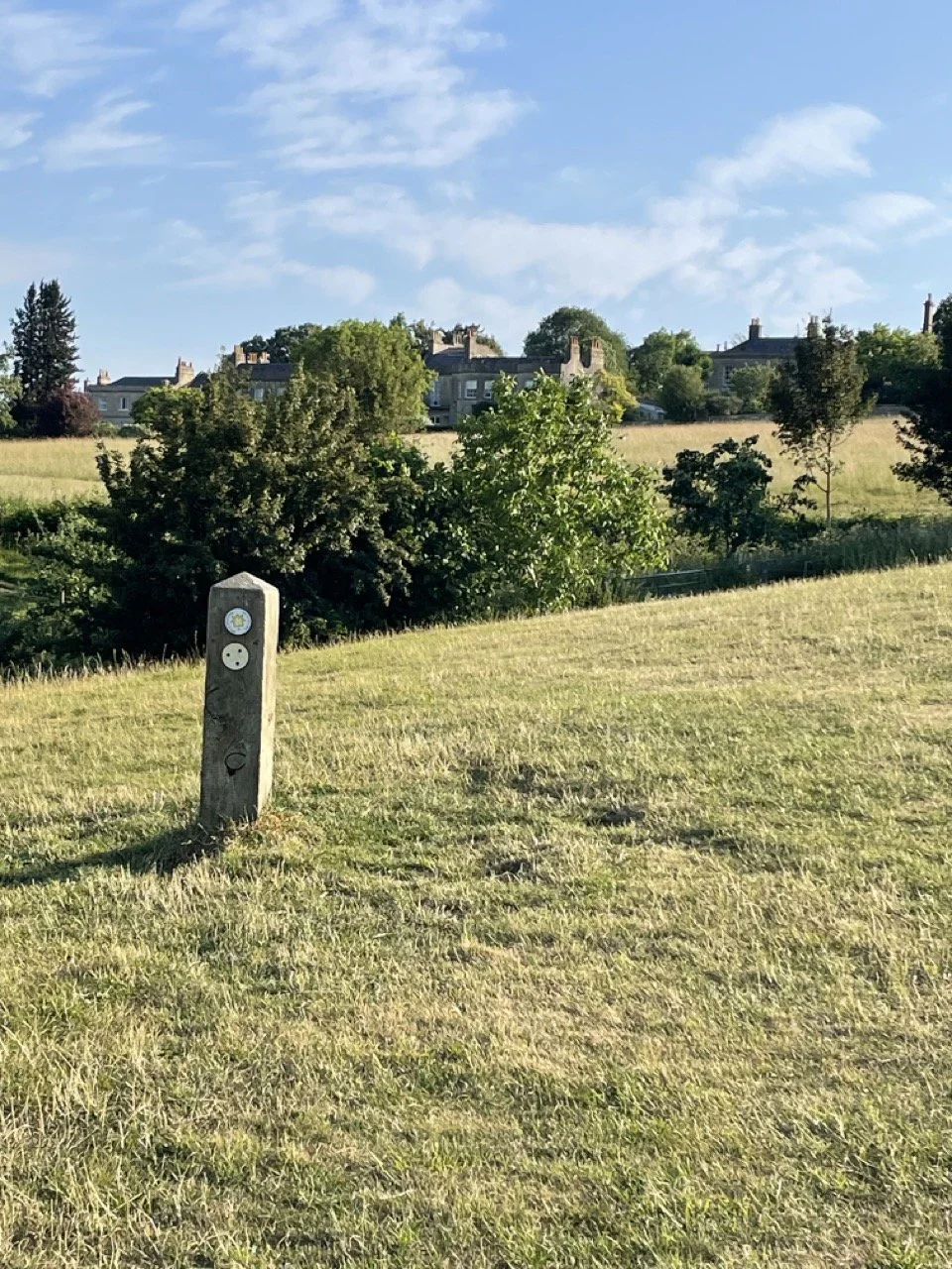 IMG_1529 2 Large.jpeg