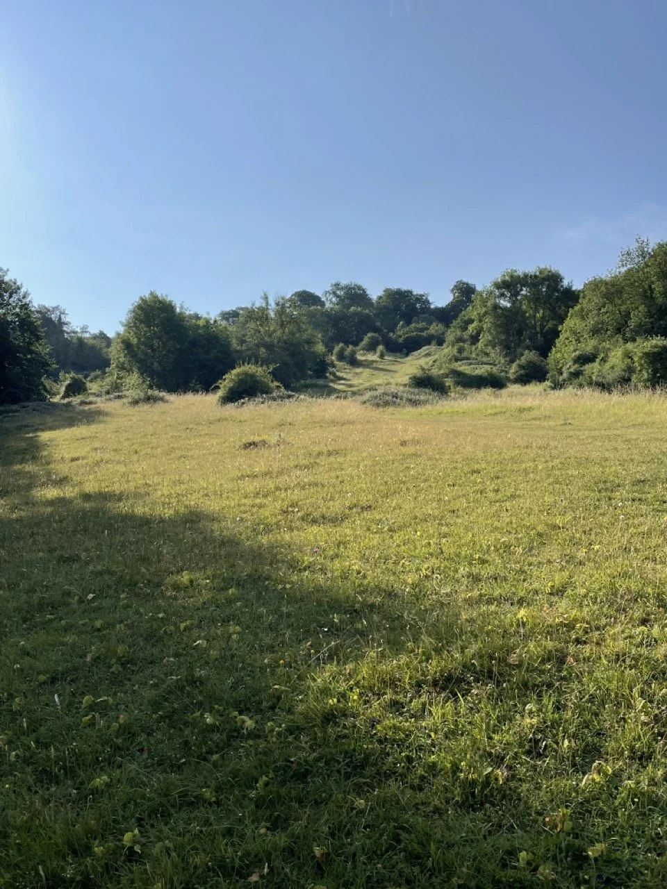 IMG_1540 2 Large.jpeg