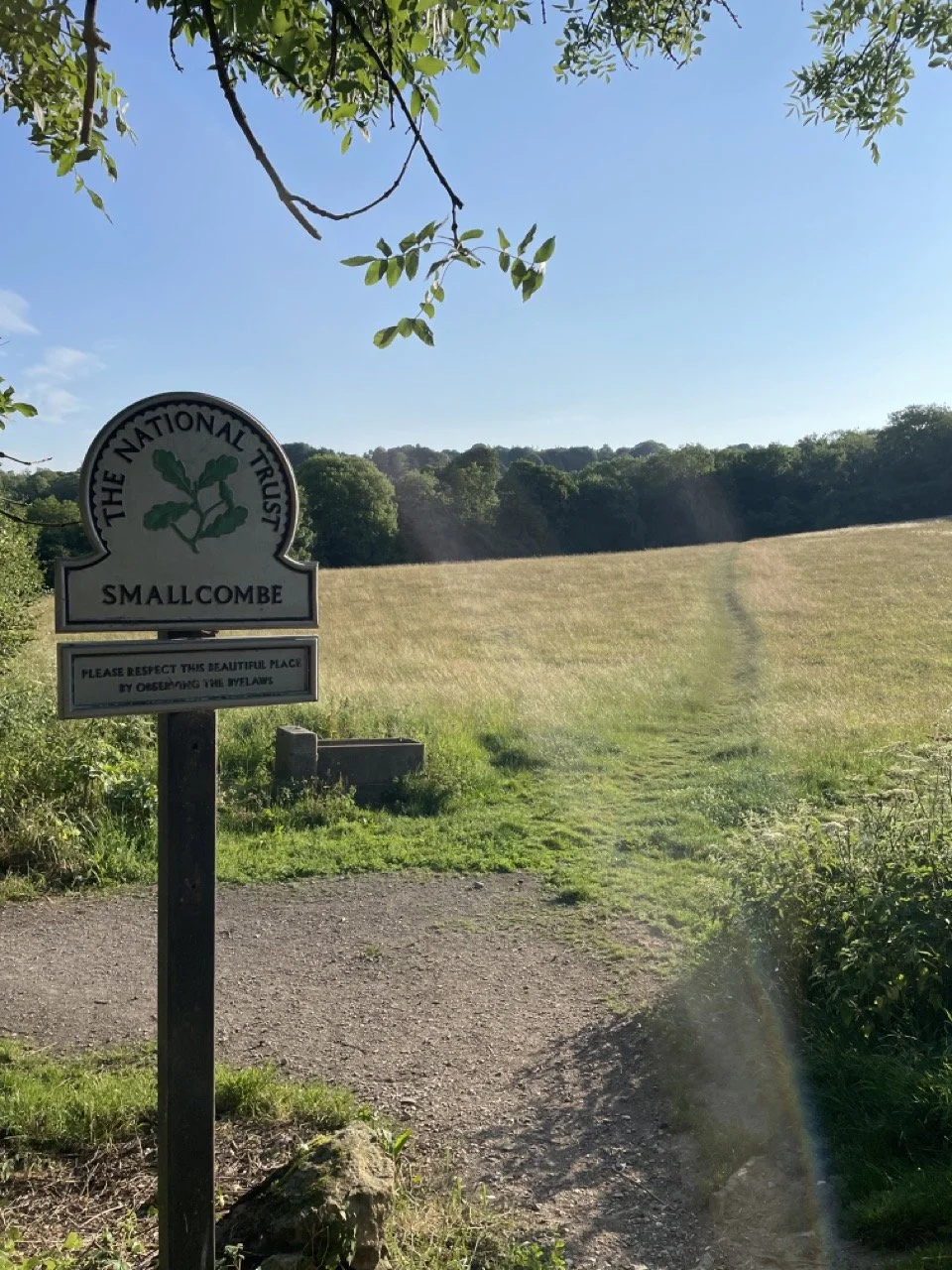 IMG_1525 2 Large.jpeg