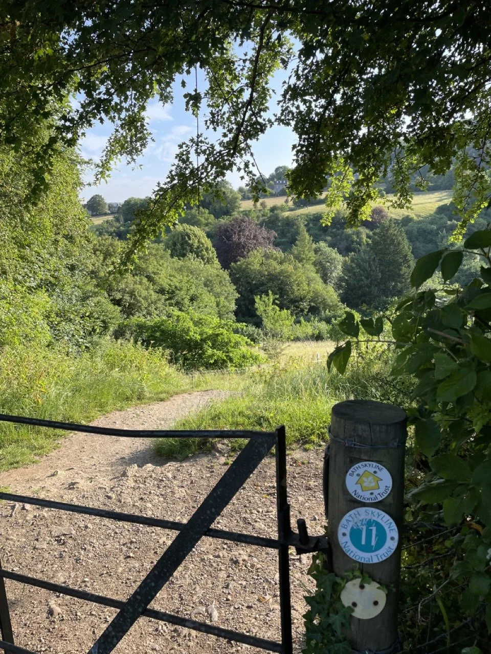 IMG_1527 2 Large.jpeg