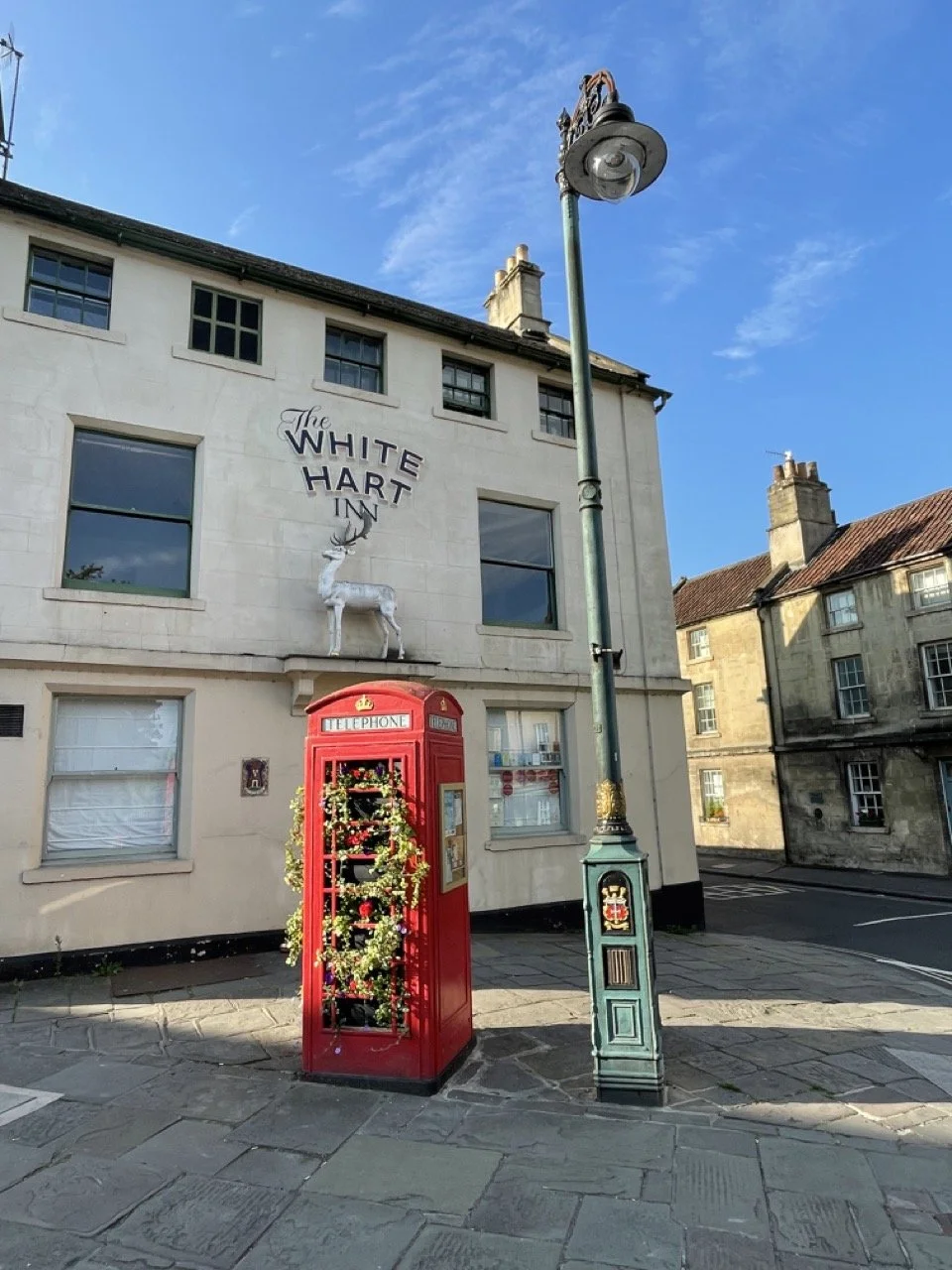 IMG_1537 2 Large.jpeg