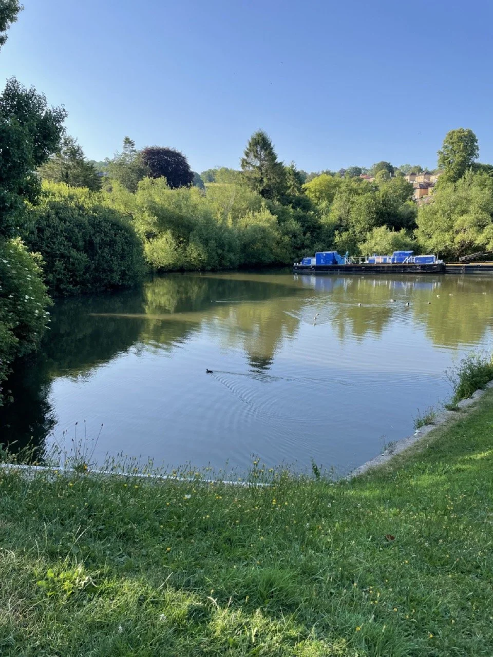 IMG_1535 2 Large.jpeg