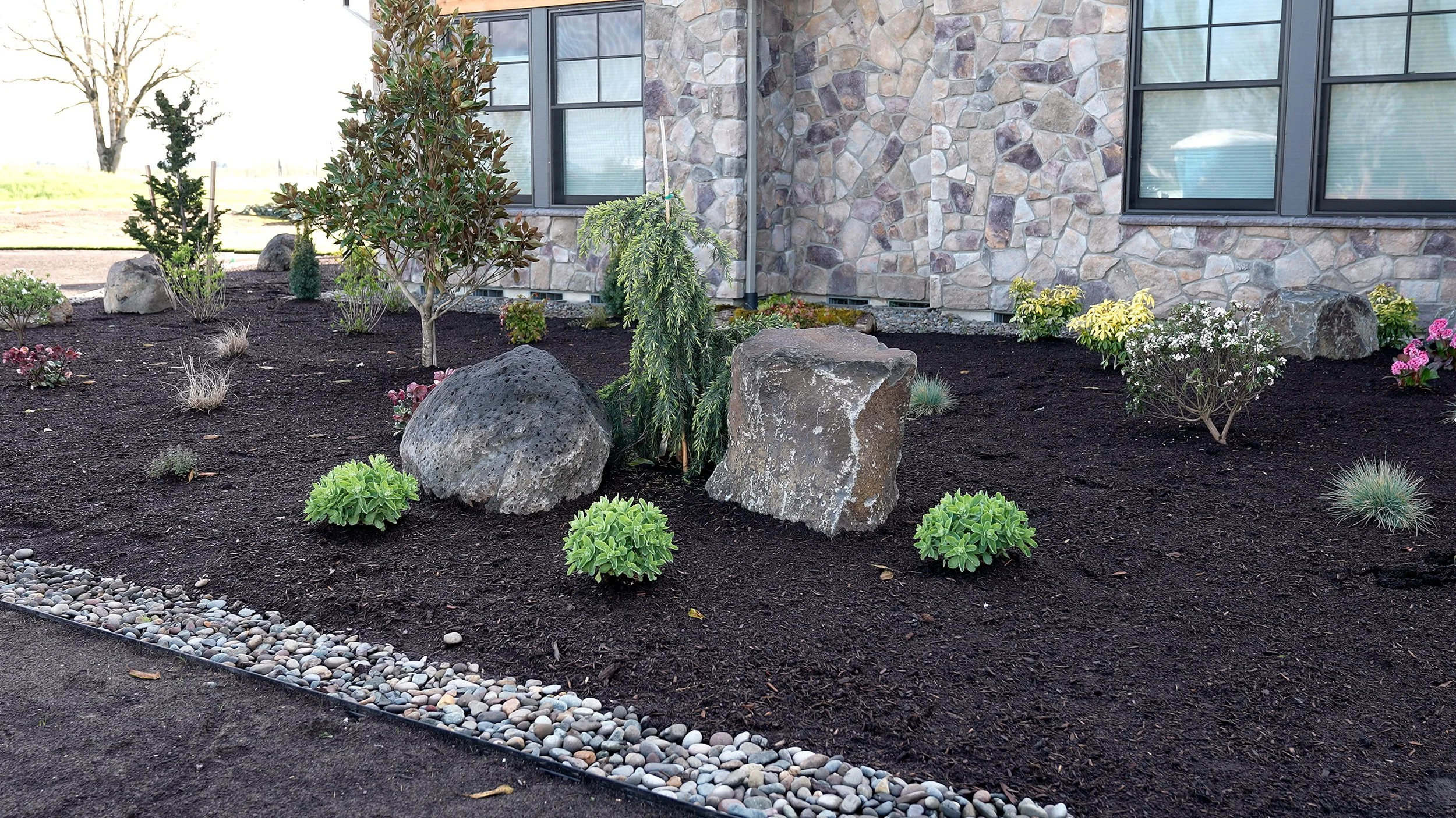 Front-Entry-Planting-Bed-Boulders-15-Canby-Oregon-Summit-Landscape.jpg