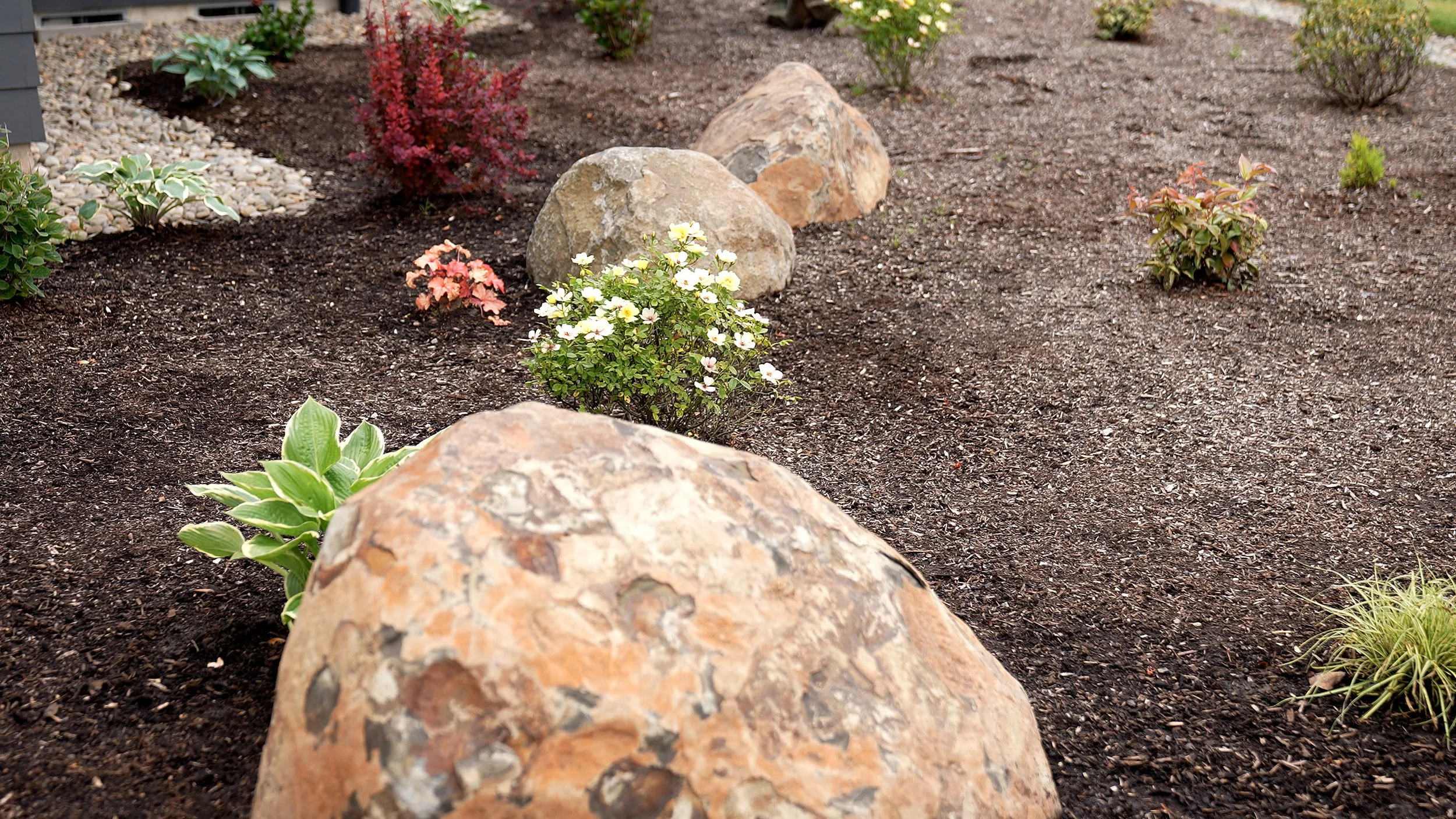 Boulder-Detail-Flowering-Shrubs-08-Canby-Oregon-Summit-Landscape.jpg