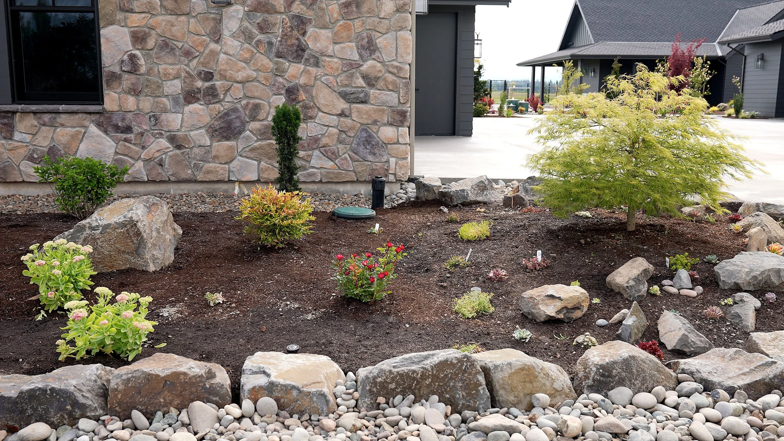 Stone-Veneer-Bed-Japanese-Maple-16-Canby-Oregon-Summit-Landscape.jpg