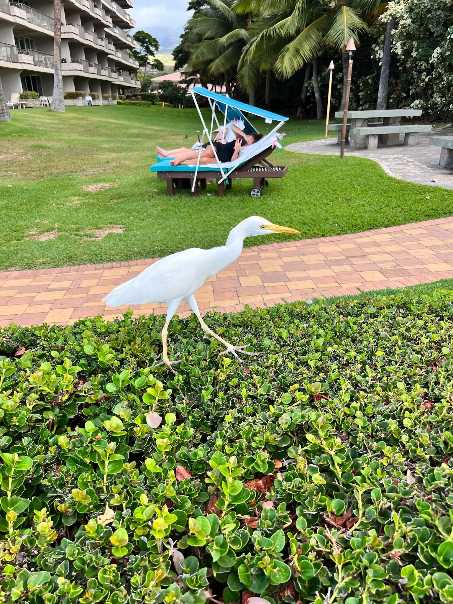 IMG_6870.jpeg