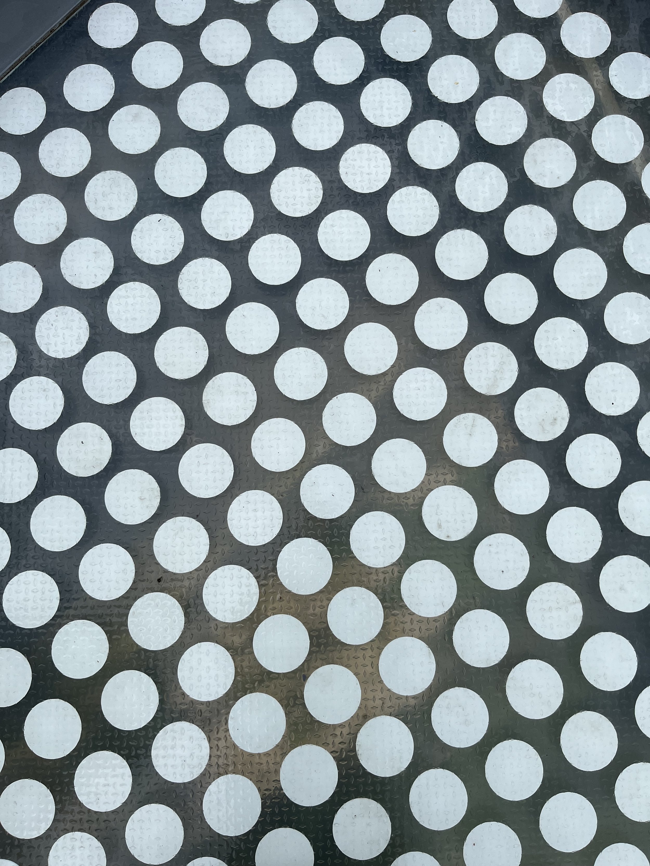 IMG_8687.jpeg