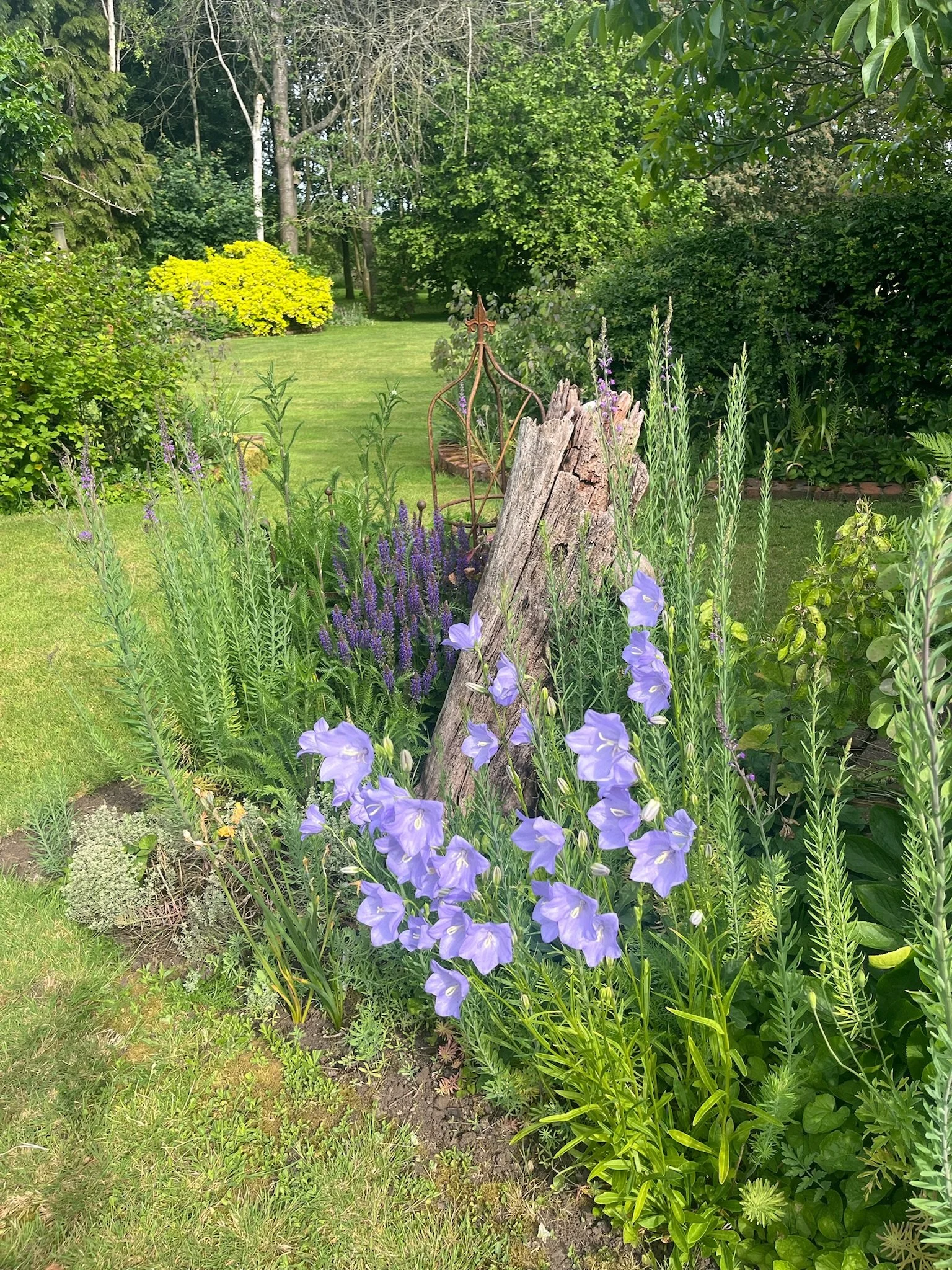 IMG_1002.jpeg