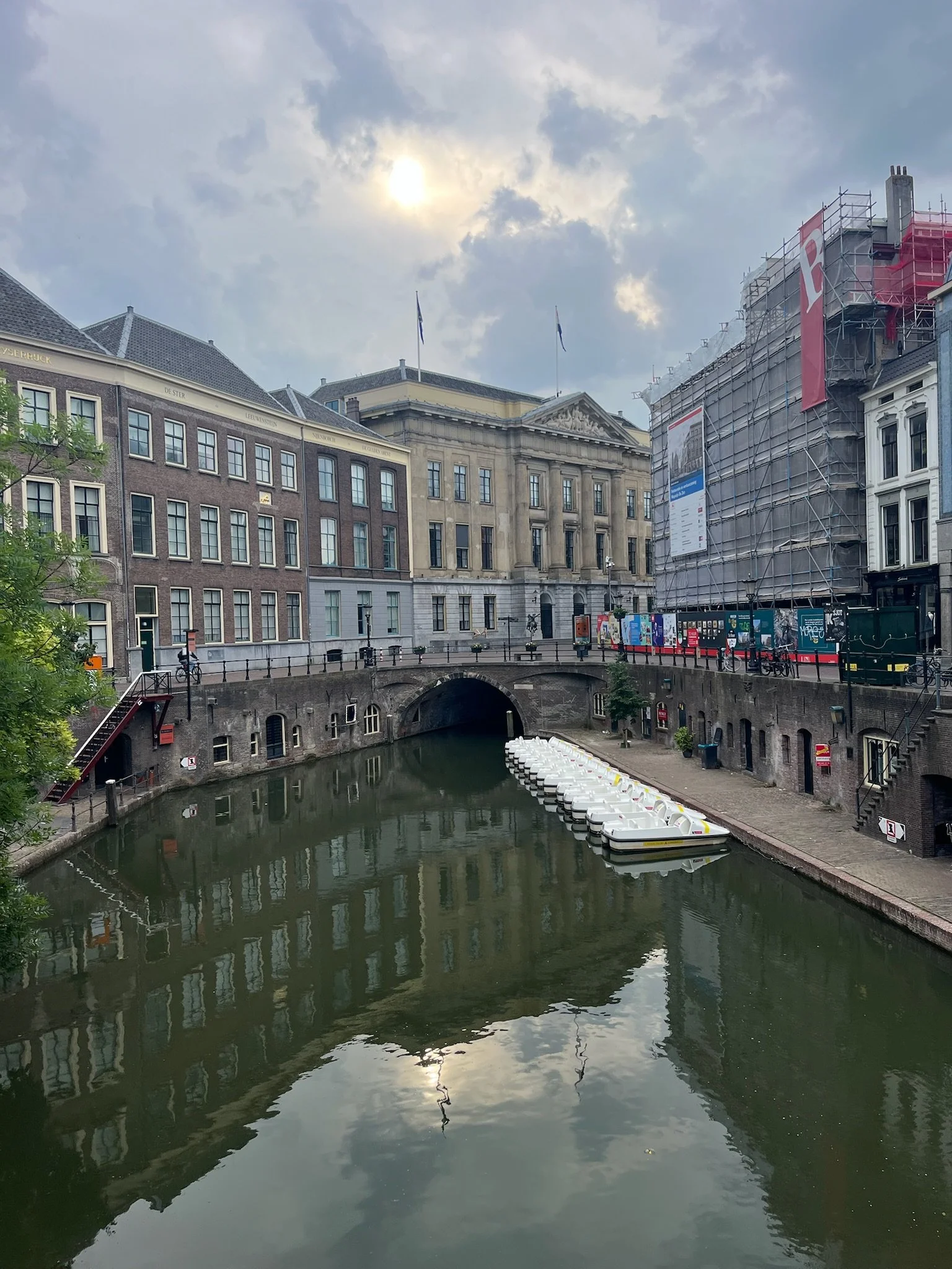 IMG_1040.jpeg