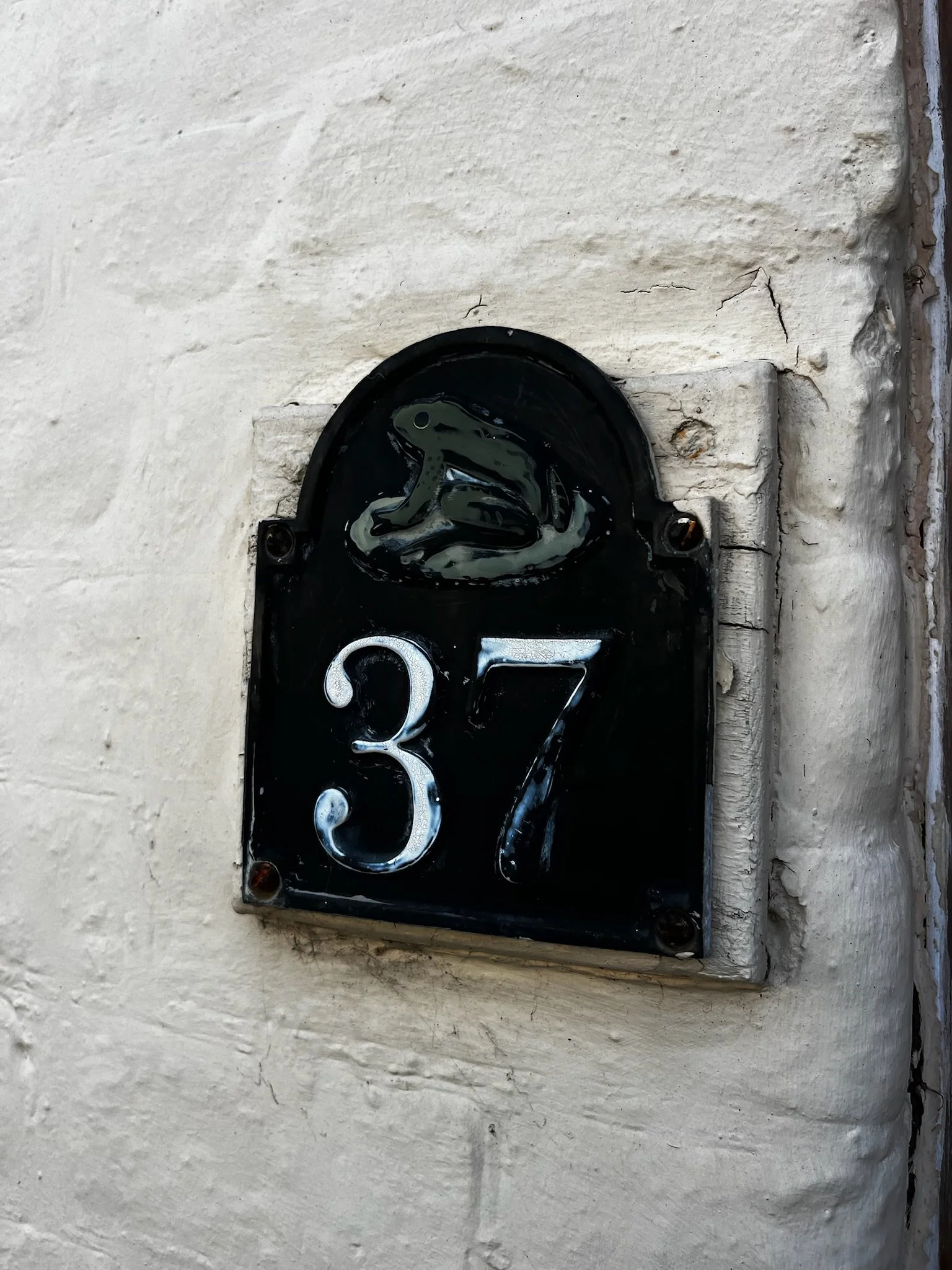 IMG_3619.jpeg