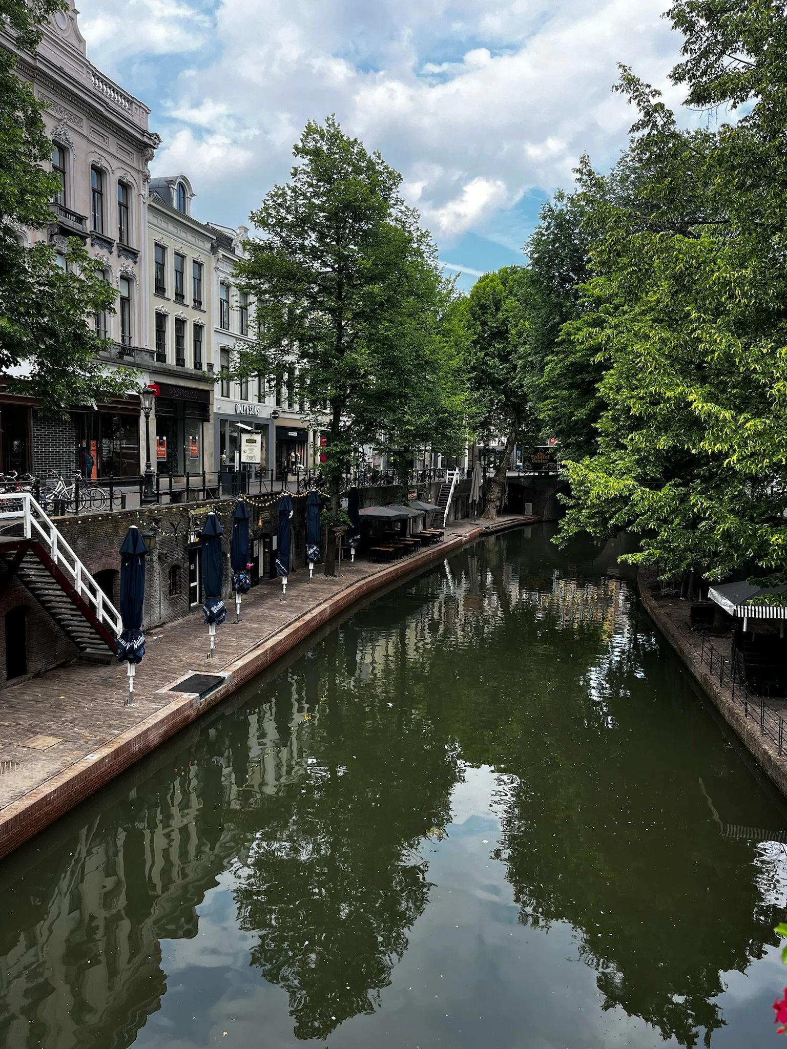IMG_3661.jpeg