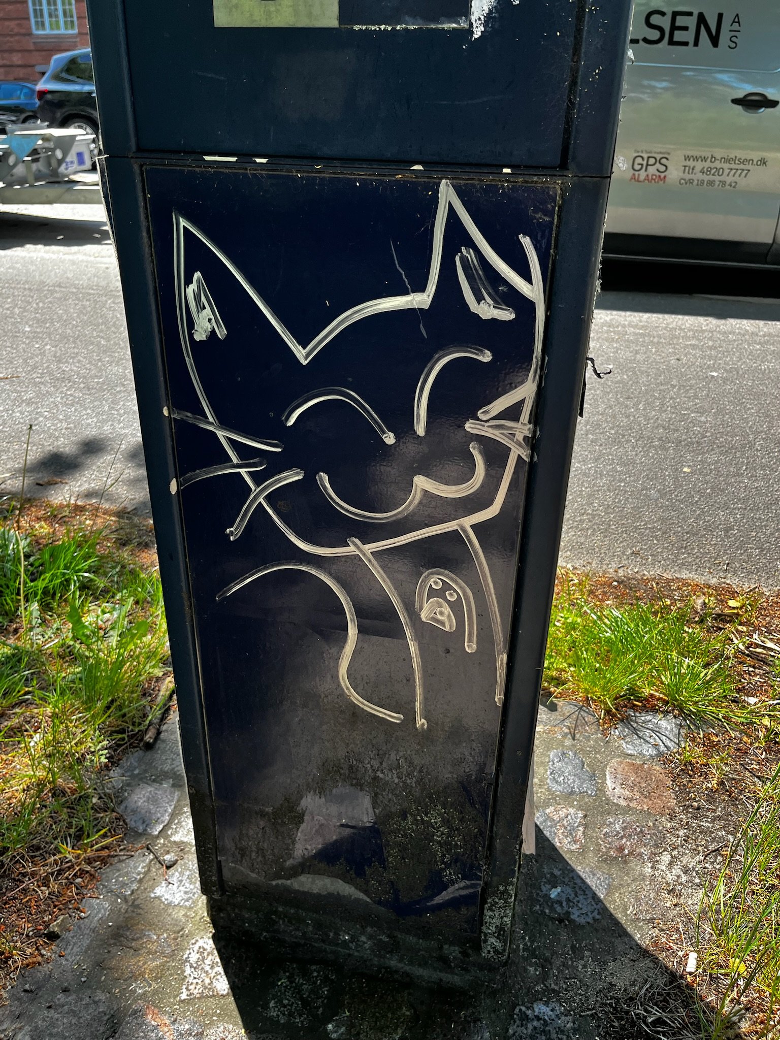 IMG_3809.jpeg