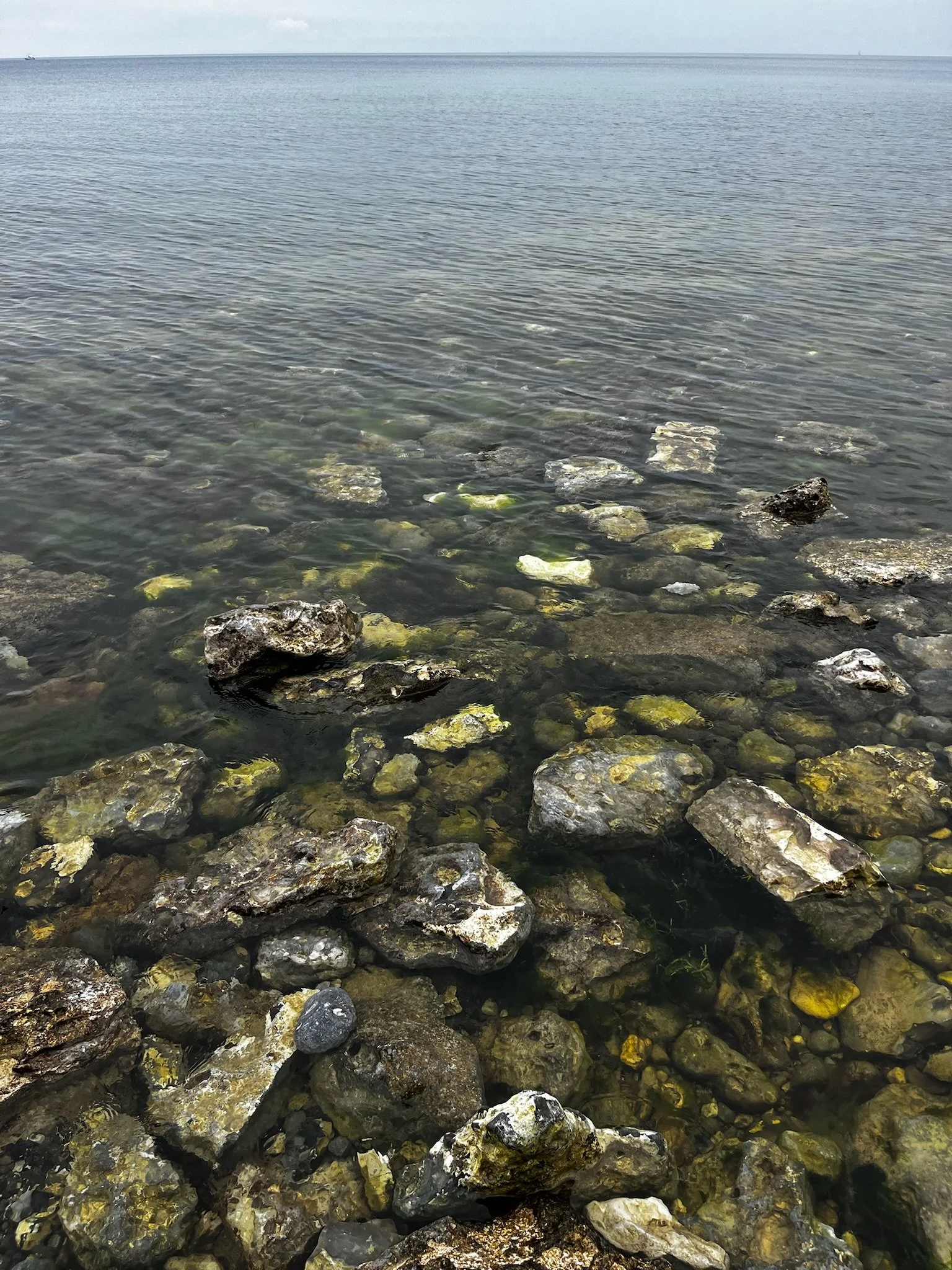 IMG_3739.jpeg