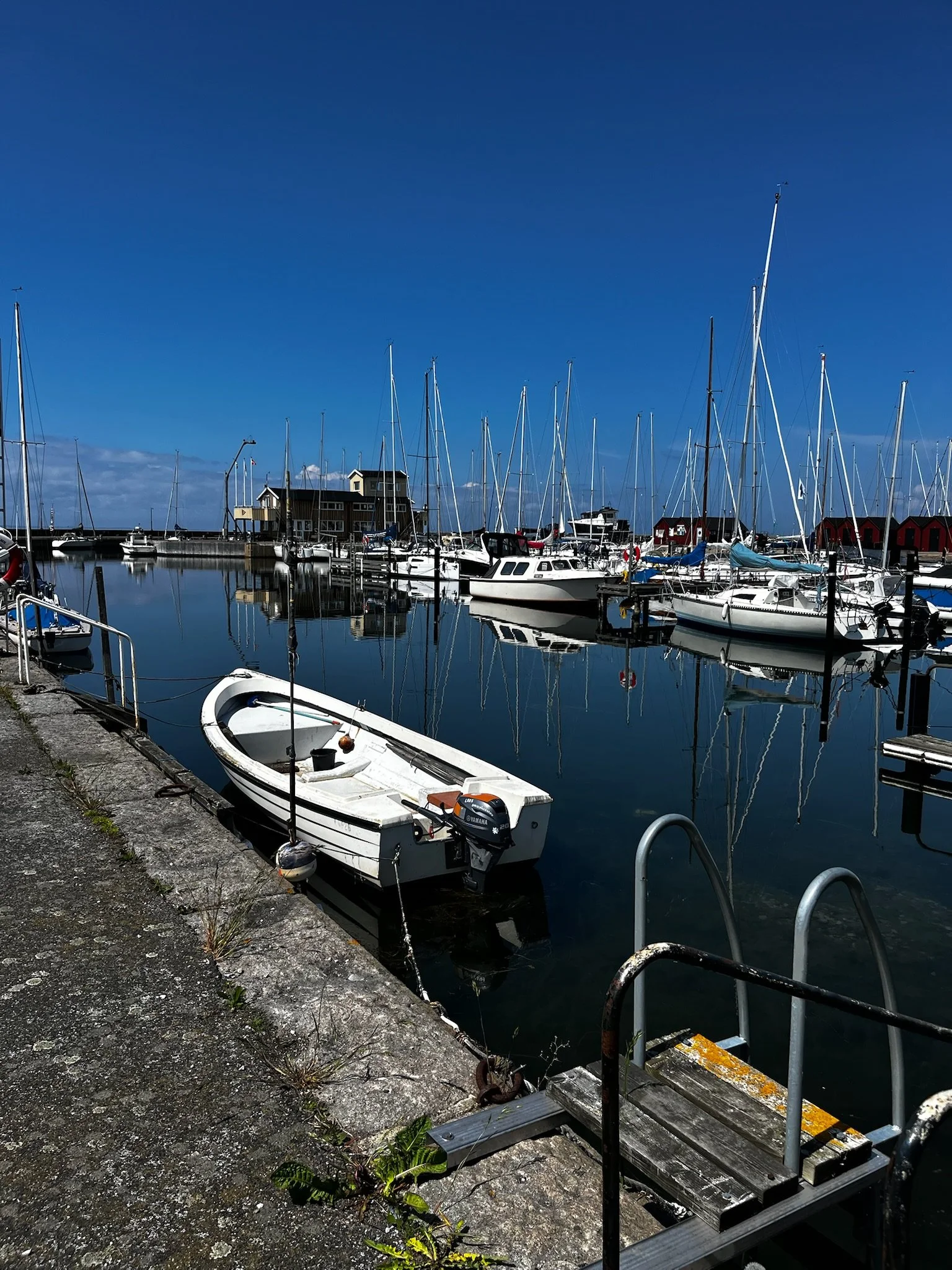 IMG_3759.jpeg