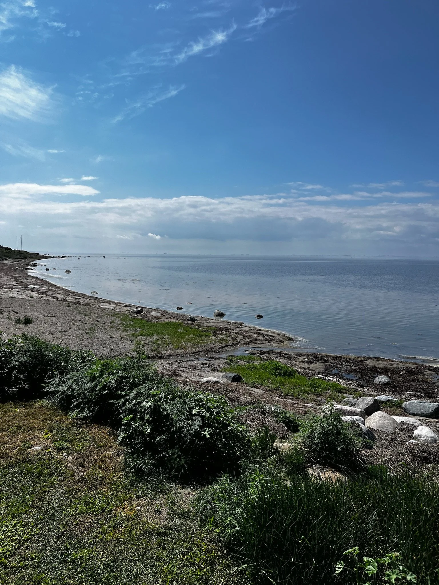 IMG_3758.jpeg