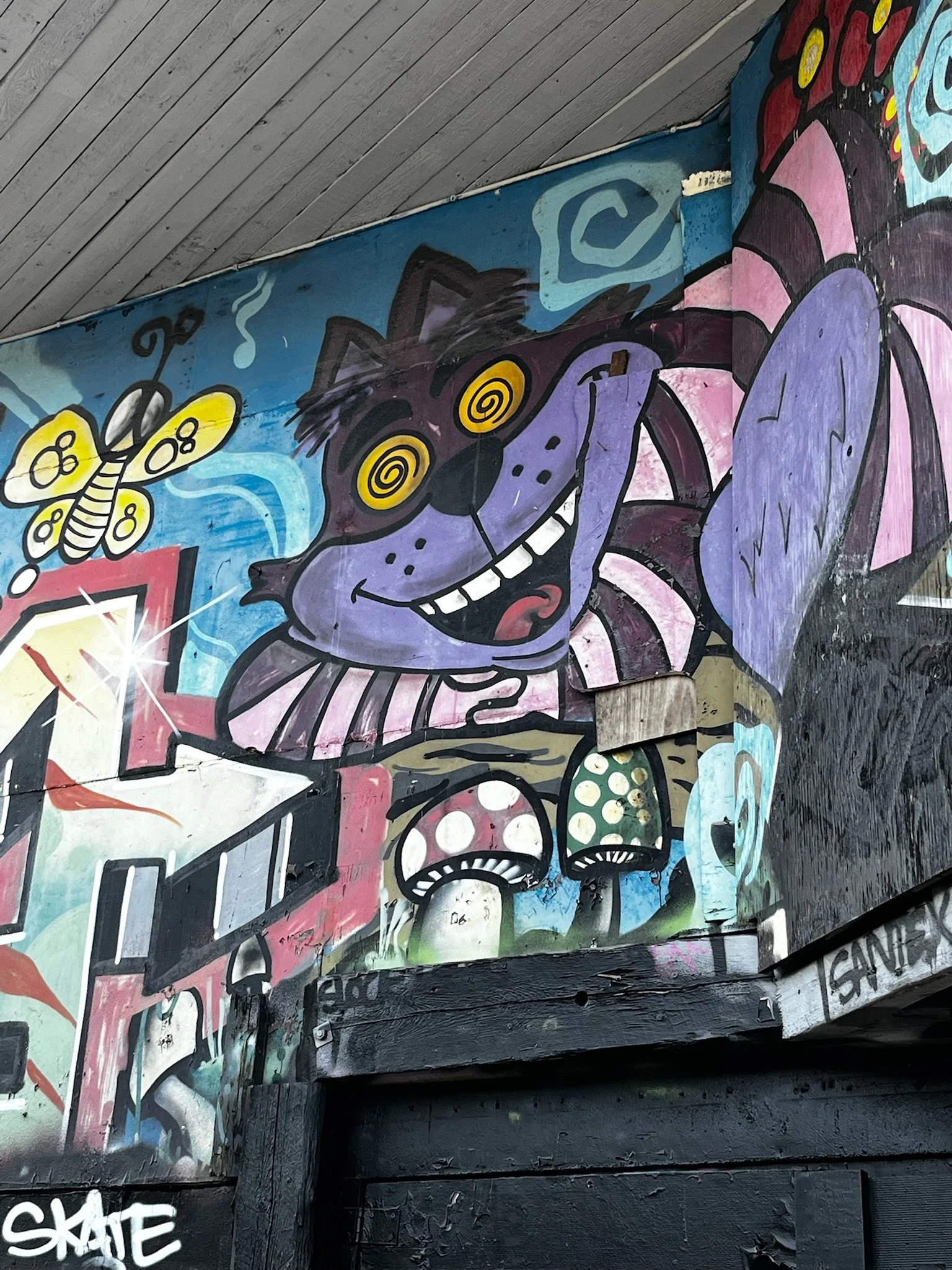 IMG_3912.jpeg