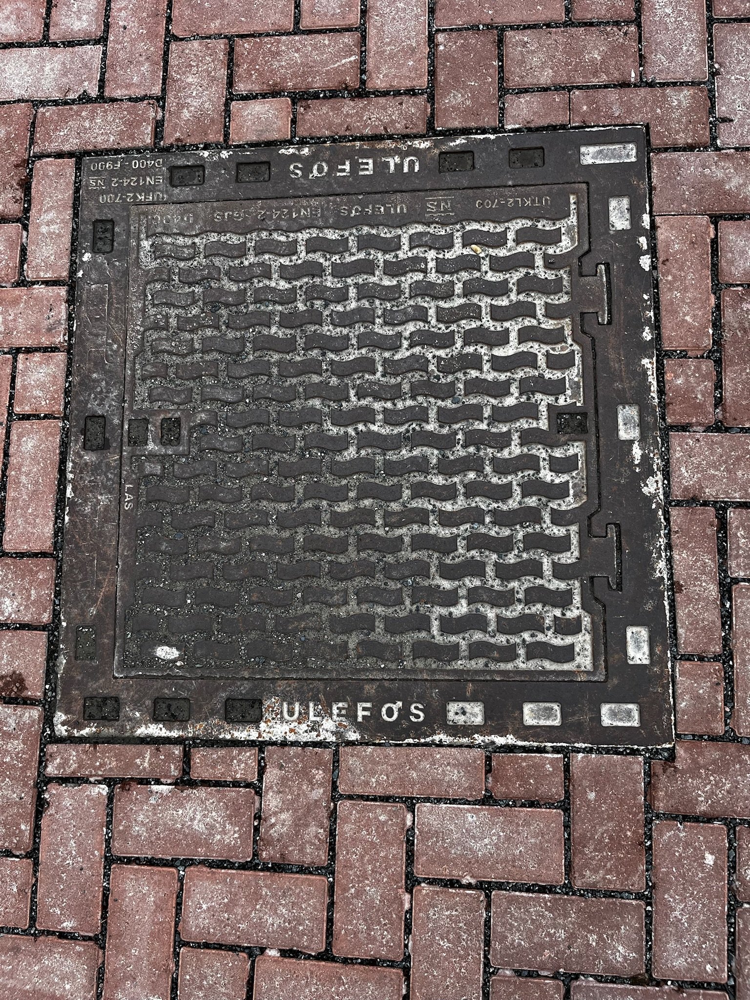 IMG_4026.jpeg