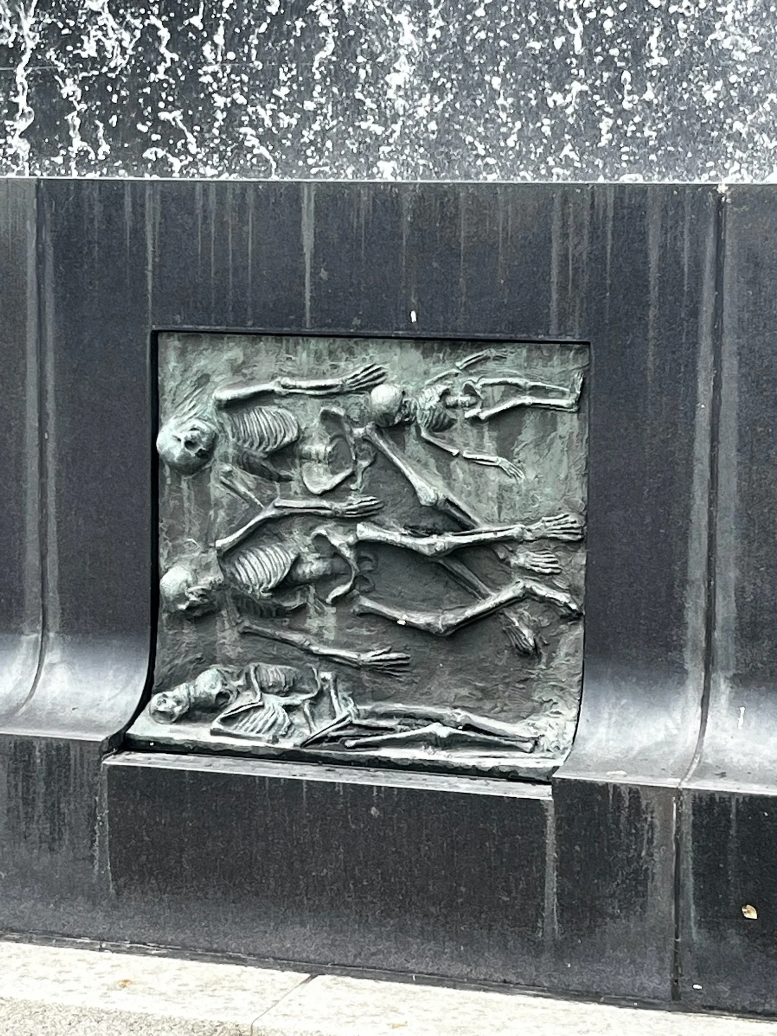 IMG_4050.jpeg
