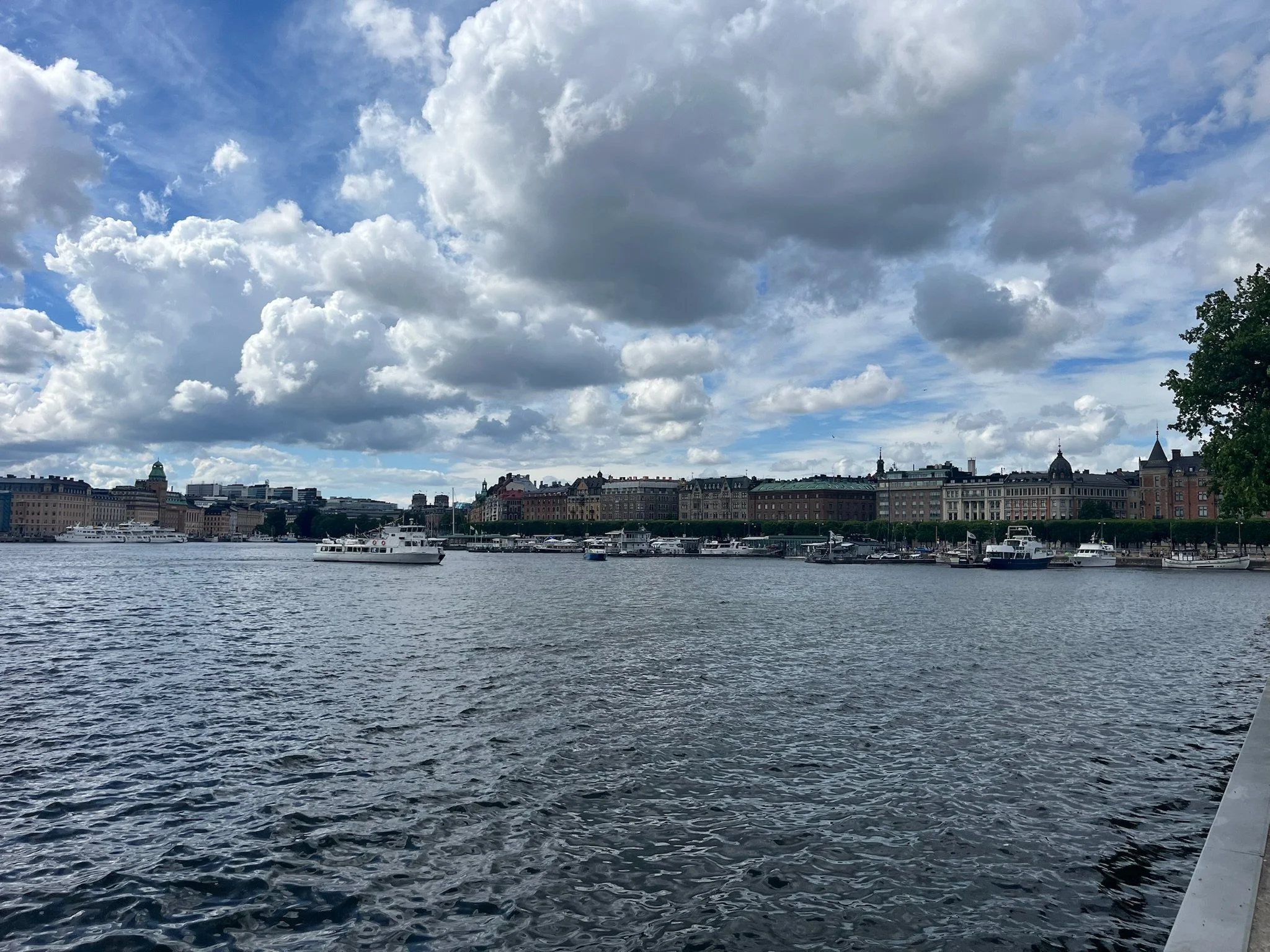 IMG_1245.jpeg