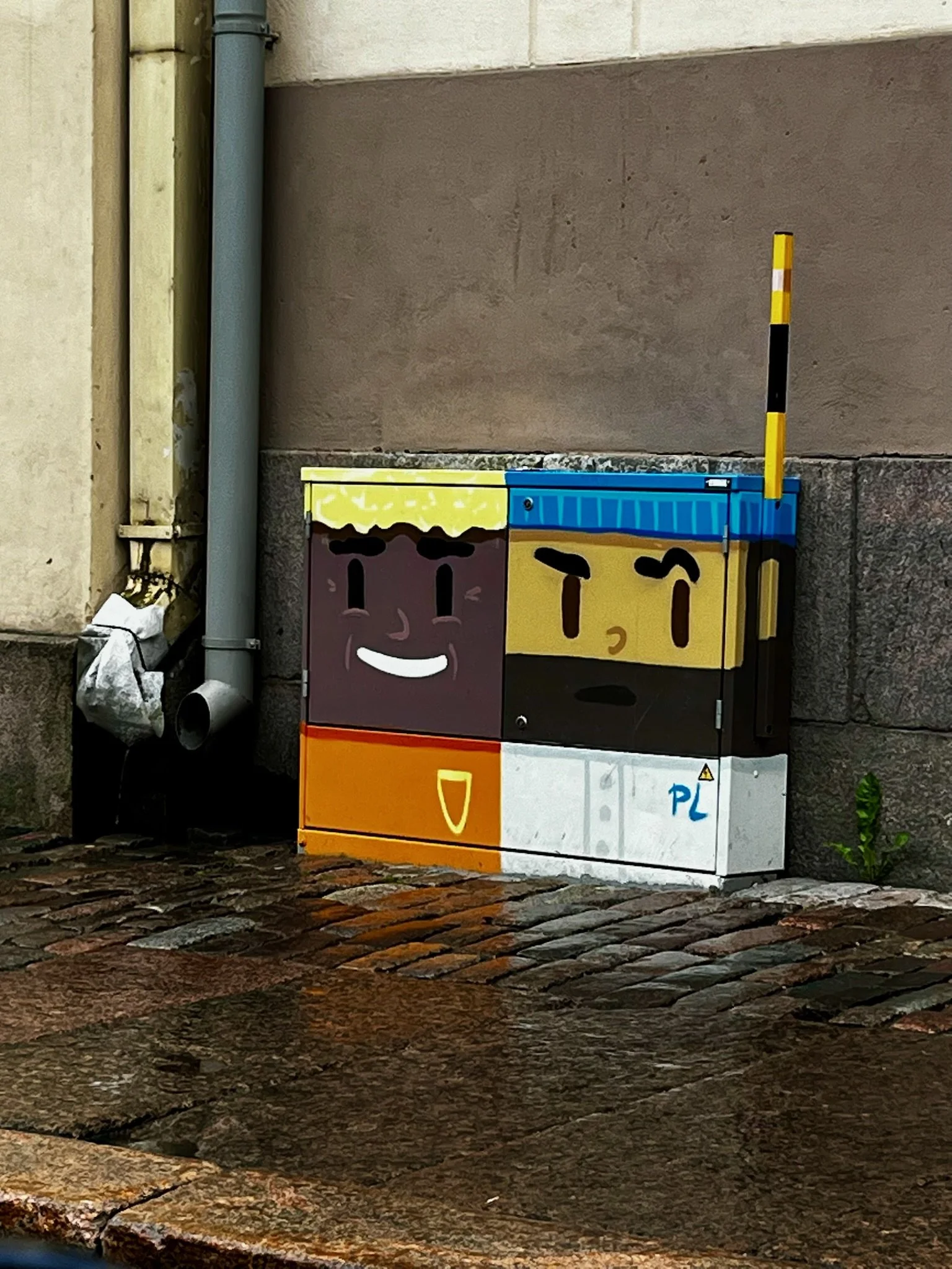 IMG_4375.jpeg