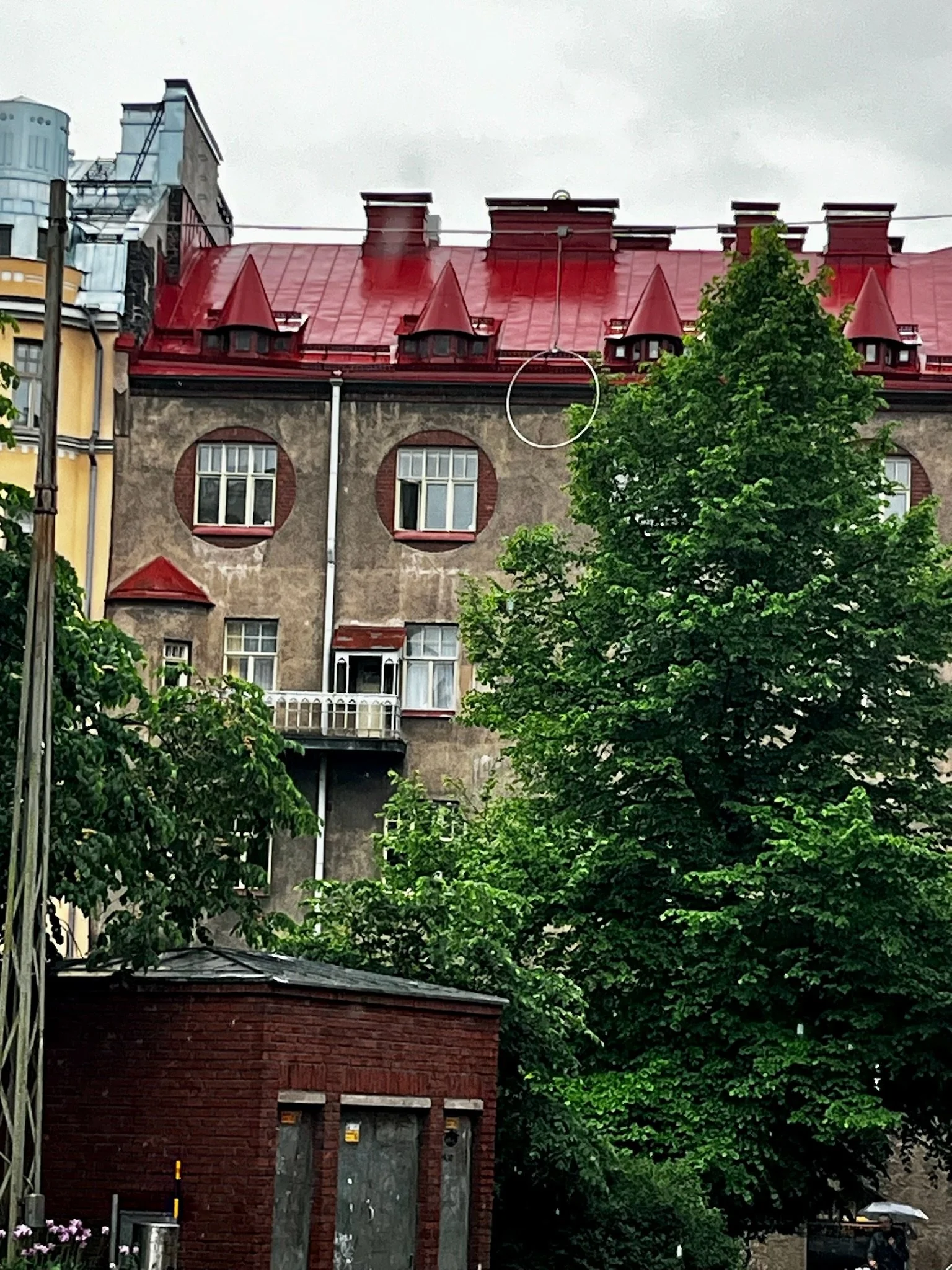 IMG_4378.jpeg