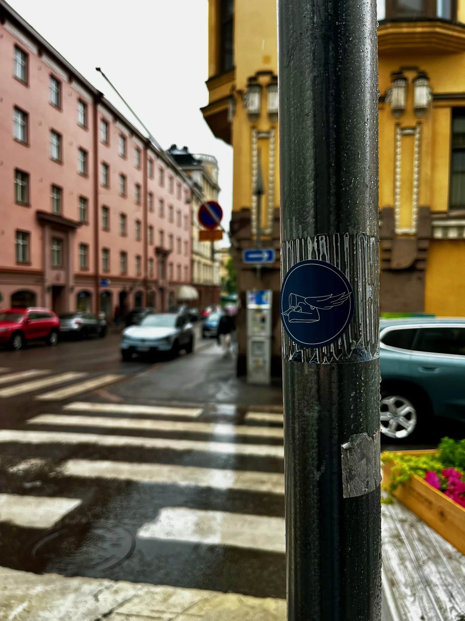 IMG_4382.jpeg