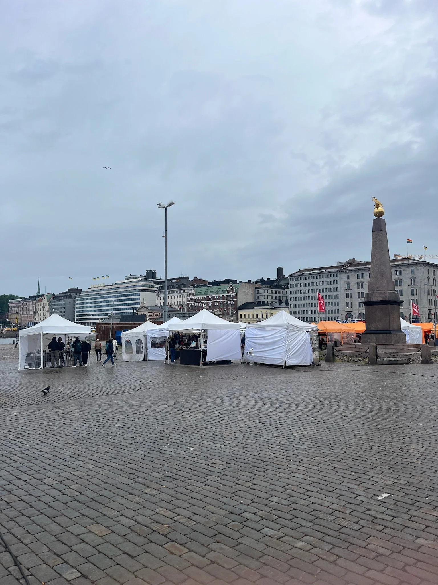 IMG_1337.jpeg